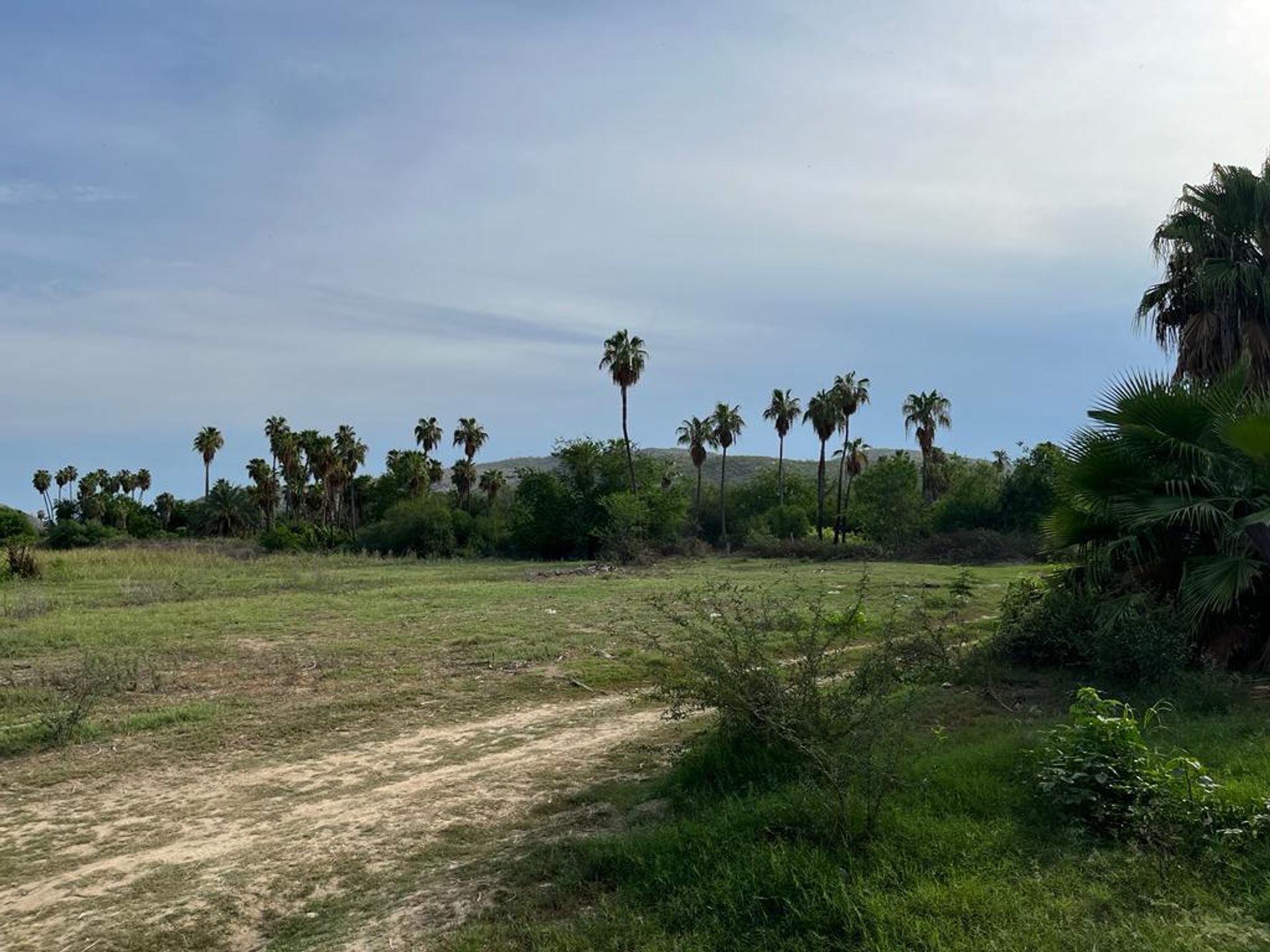 Land in San Jose del Cabo, Baja California Sur 12303259