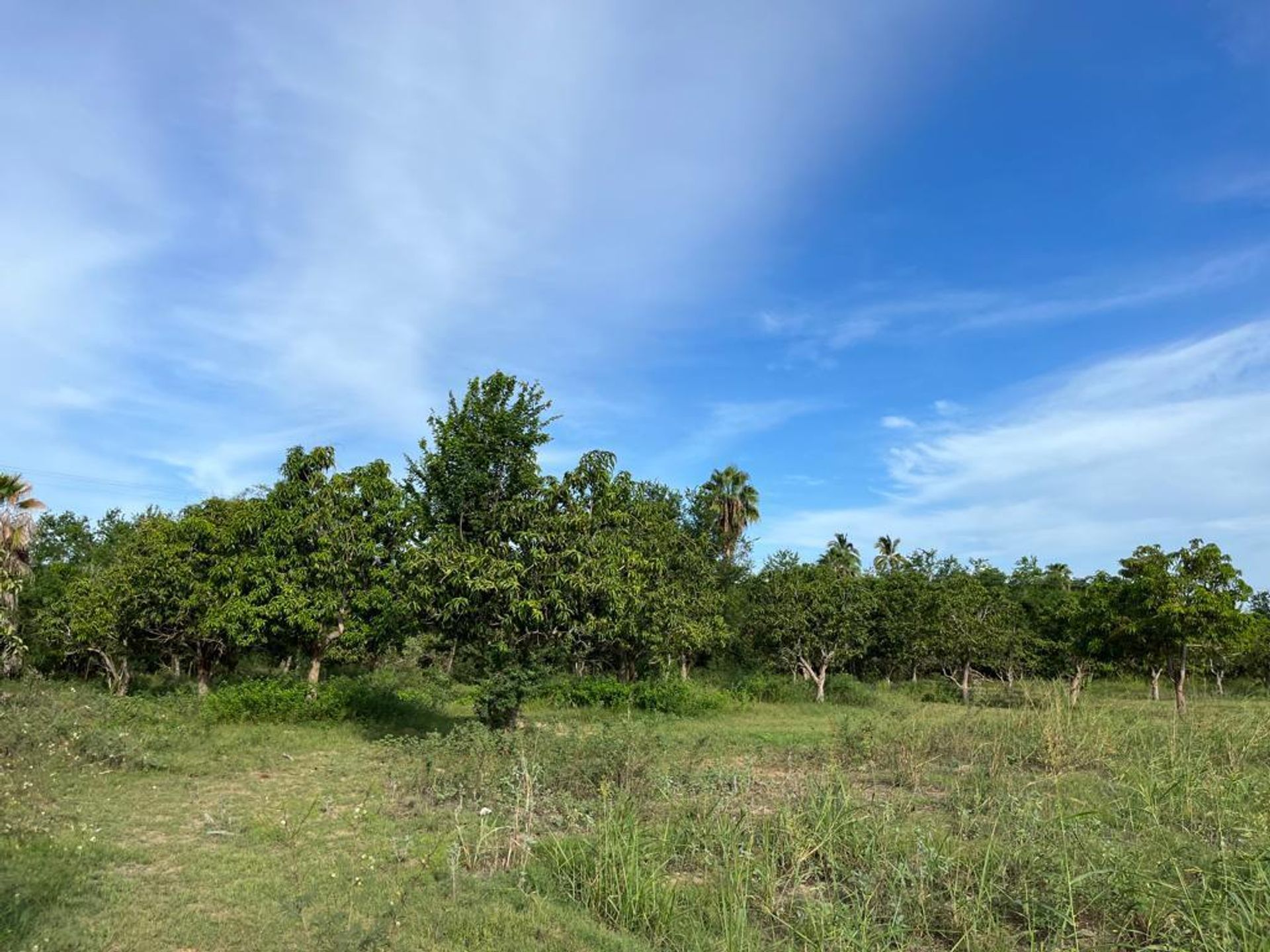 Land in San José del Cabo, Baja California Sur 12303259