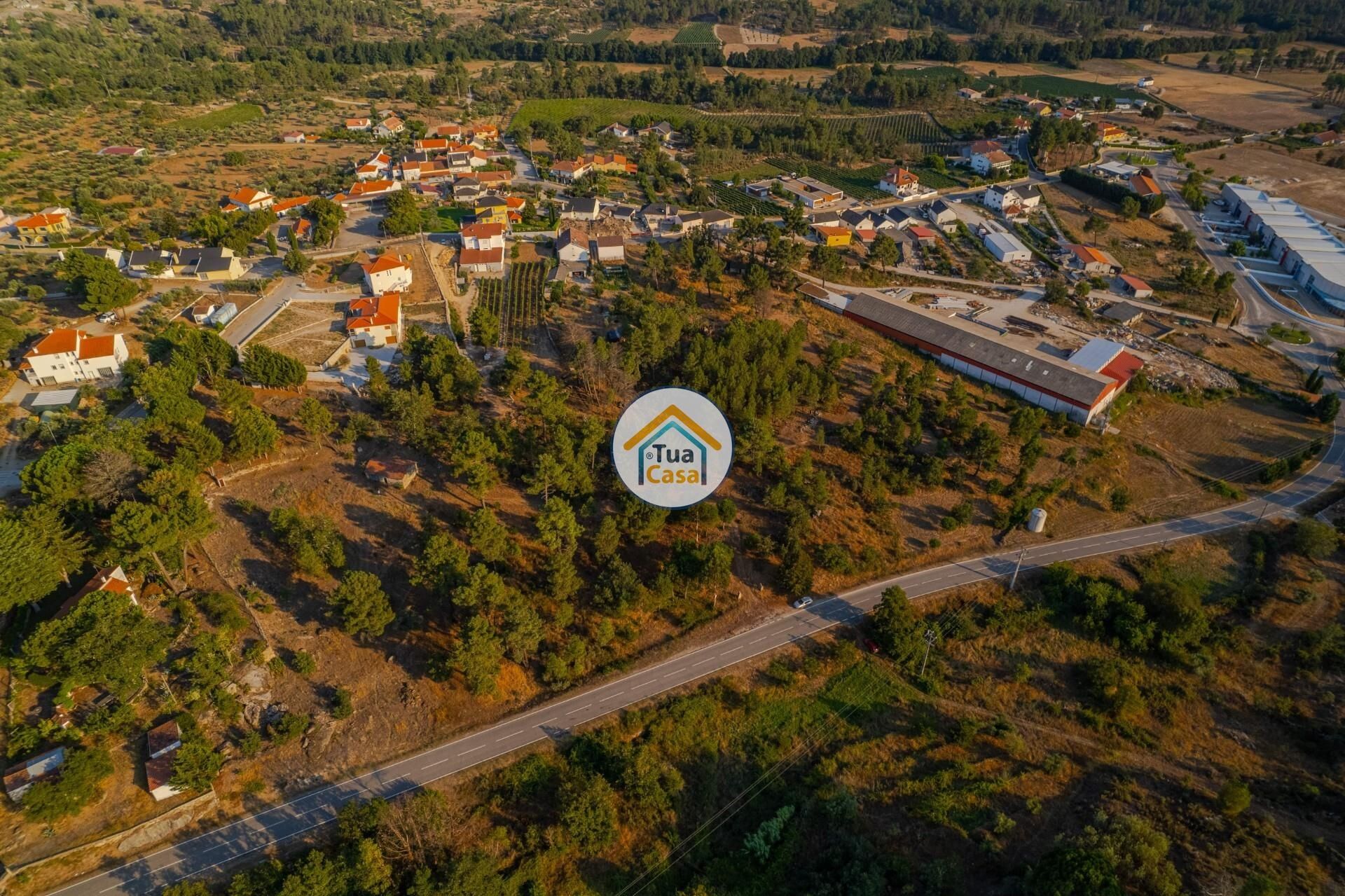 Terre dans Macieira, Viseu 12303490