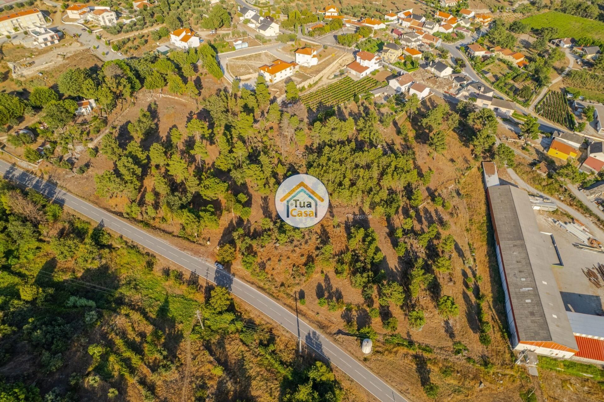 Land in Macieira, Viseu 12303490