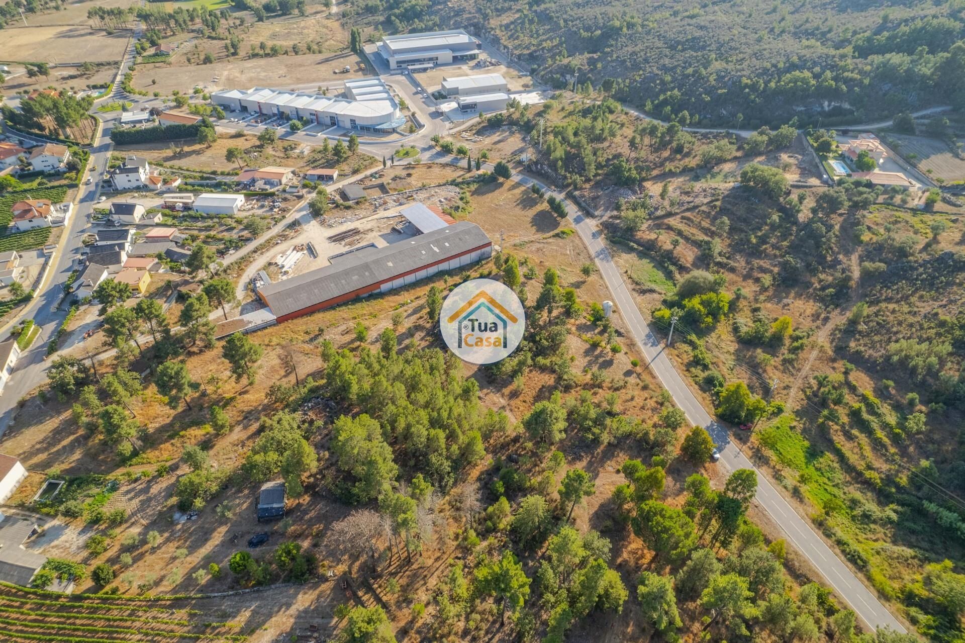 Tierra en Riodades, Viseu 12303490