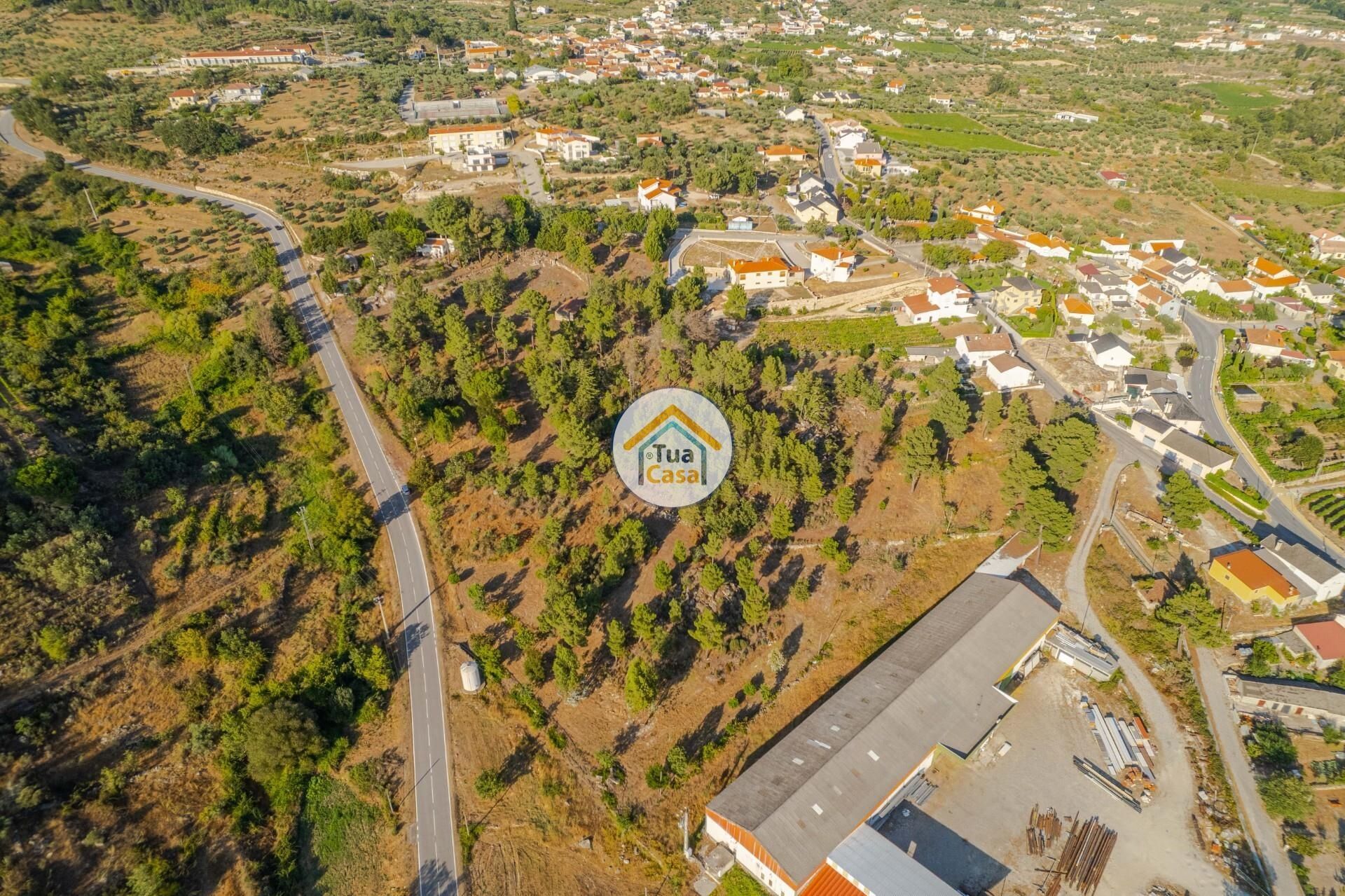 Land in Macieira, Viseu 12303490