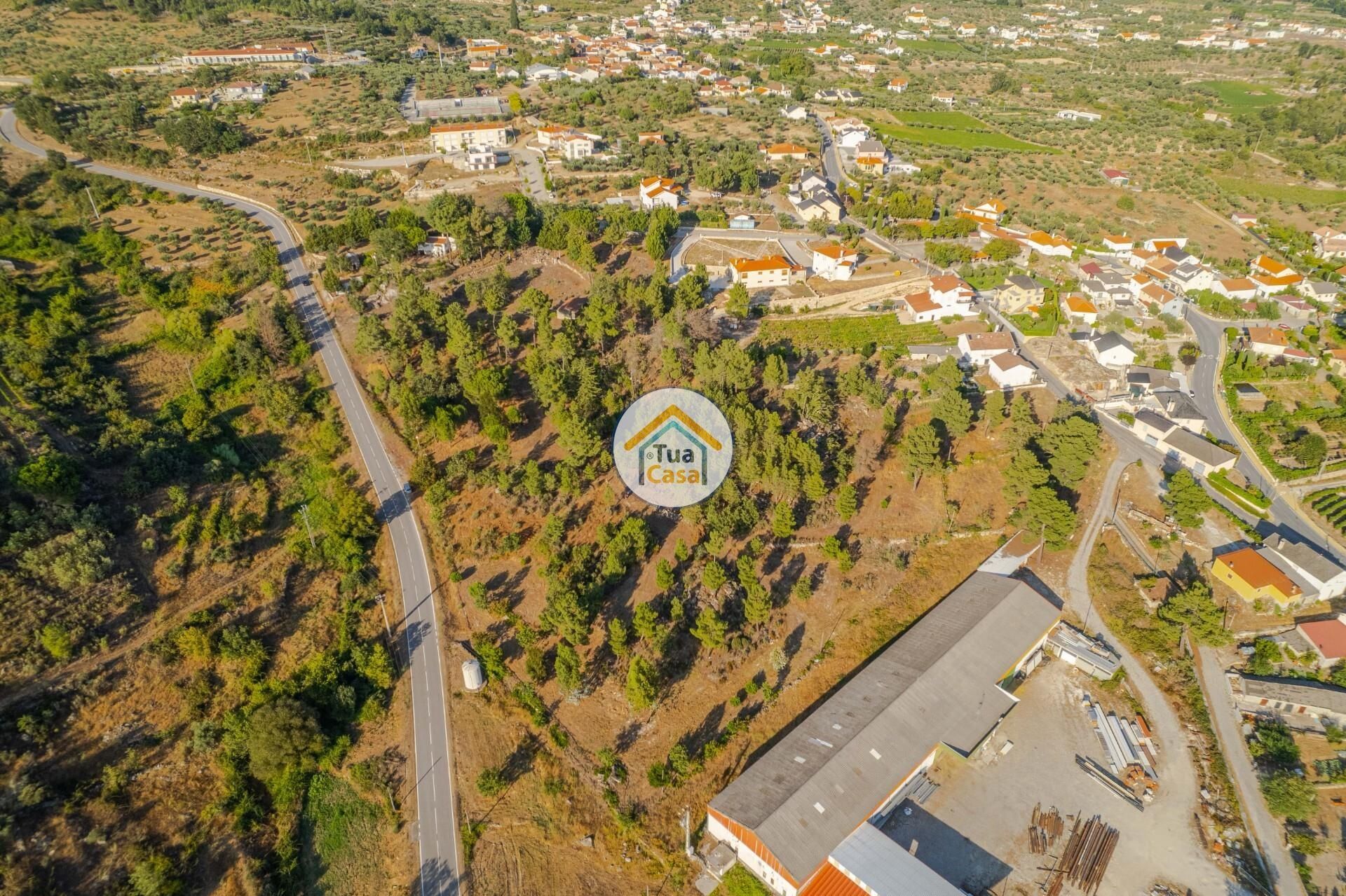 Земля в Riodades, Viseu 12303490