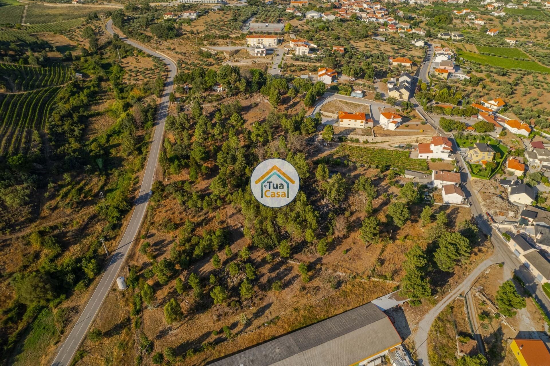 Tierra en Riodades, Viseu 12303491