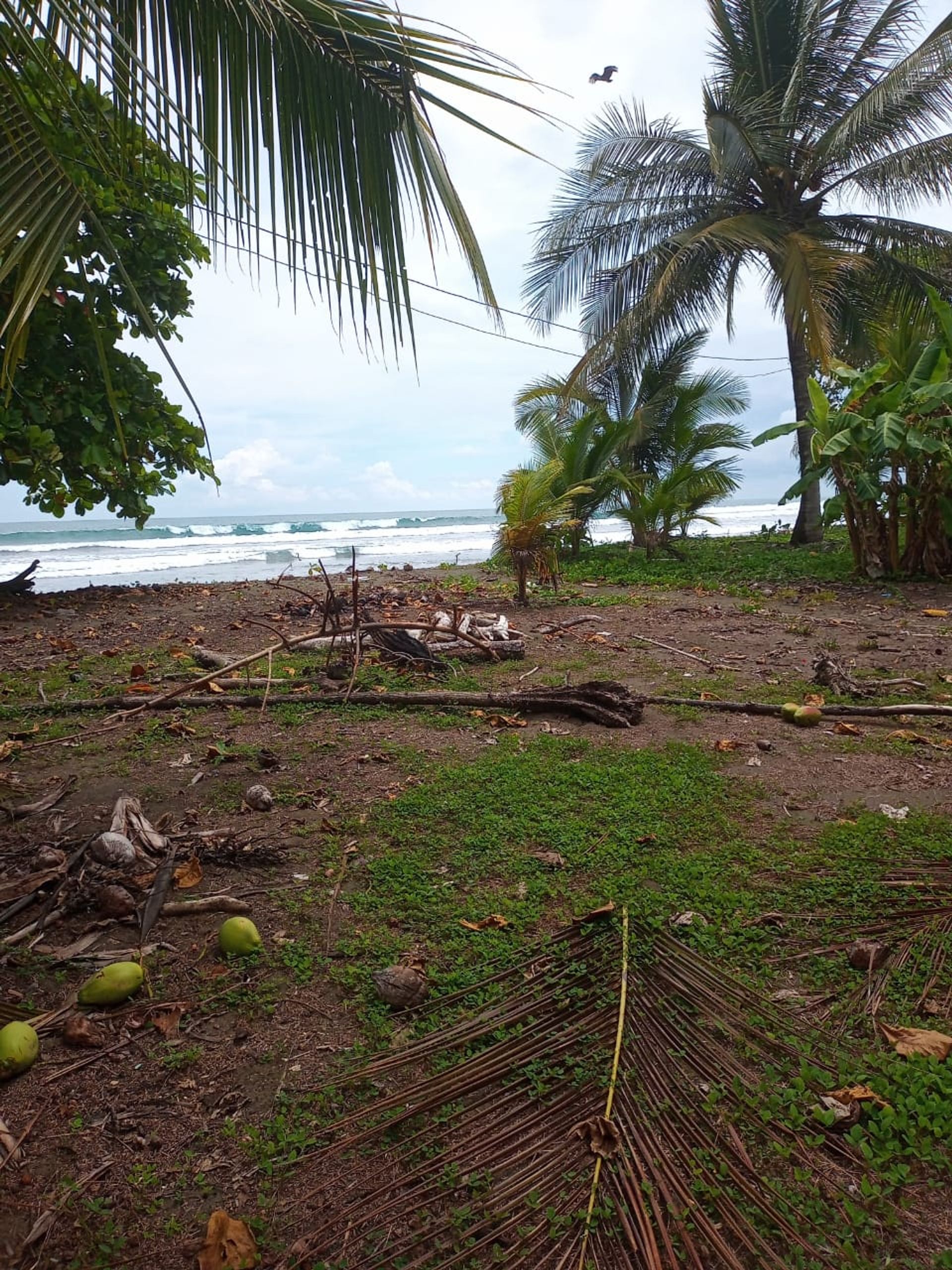 Wylądować w Quepos, Provincia de Puntarenas 12305747