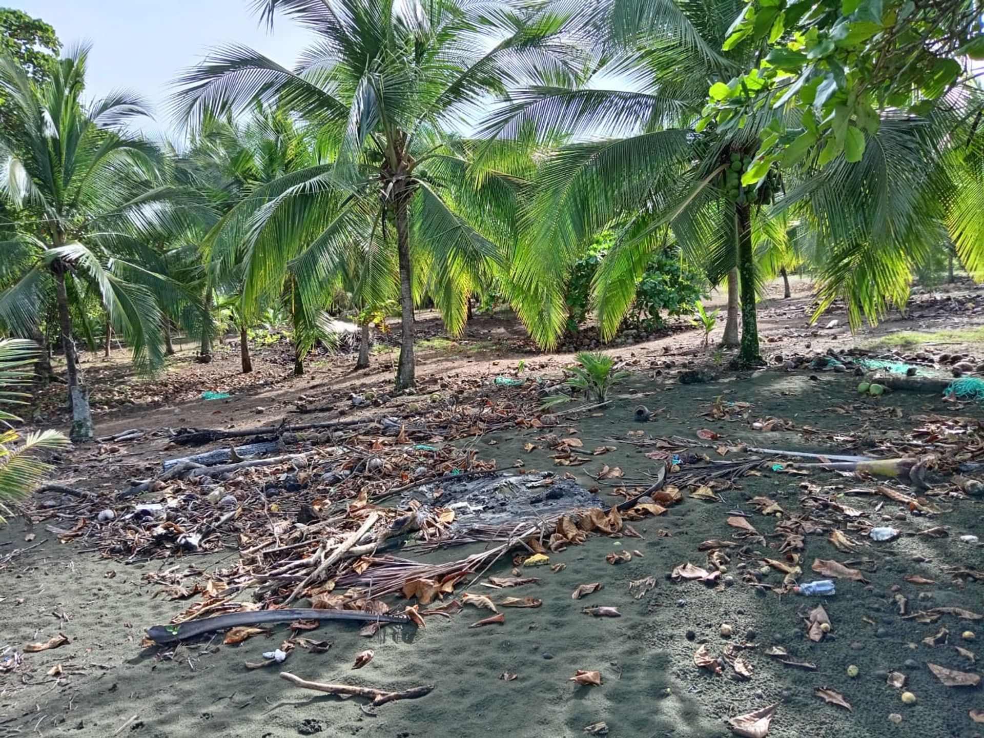 Wylądować w Quepos, Provincia de Puntarenas 12305747