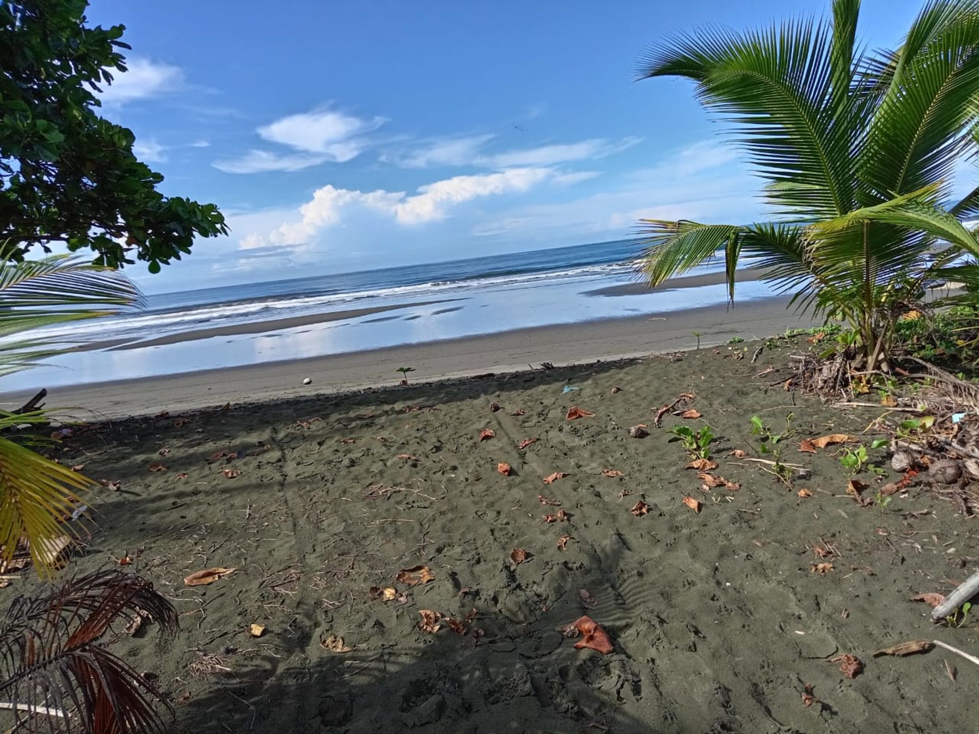 Wylądować w Quepos, Provincia de Puntarenas 12305747