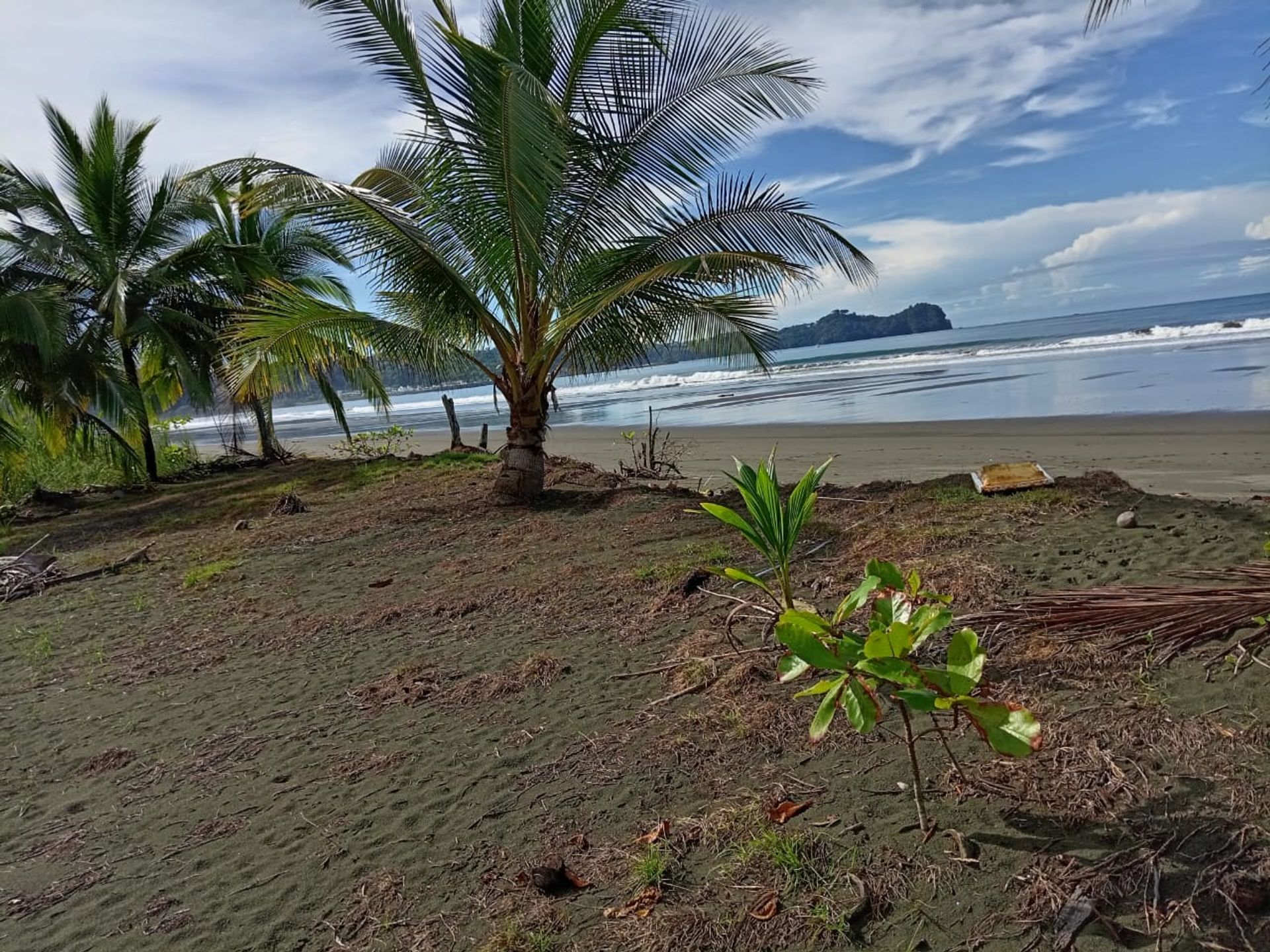 Wylądować w Quepos, Provincia de Puntarenas 12305747