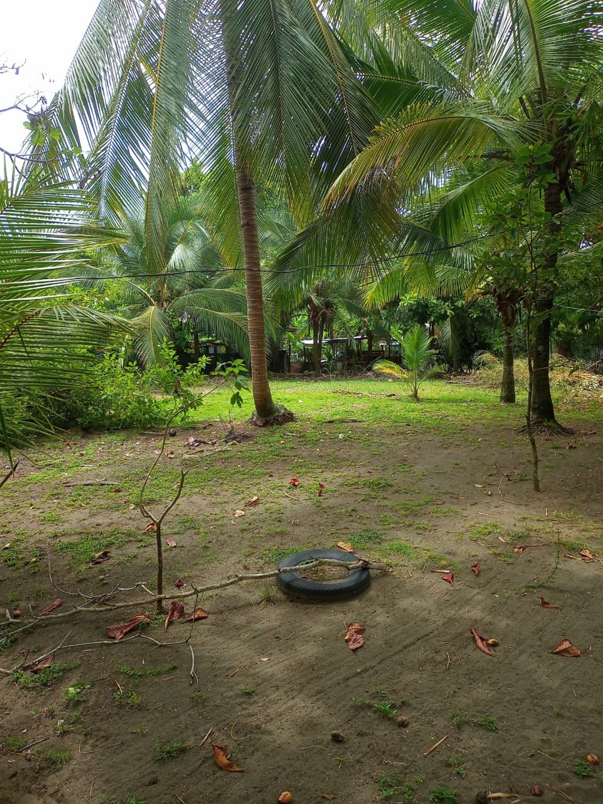 Wylądować w Quepos, Provincia de Puntarenas 12305747