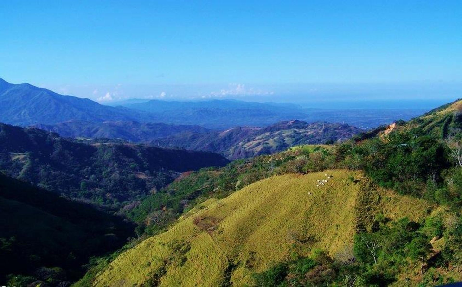 Wylądować w Quepos, Provincia de Puntarenas 12305747