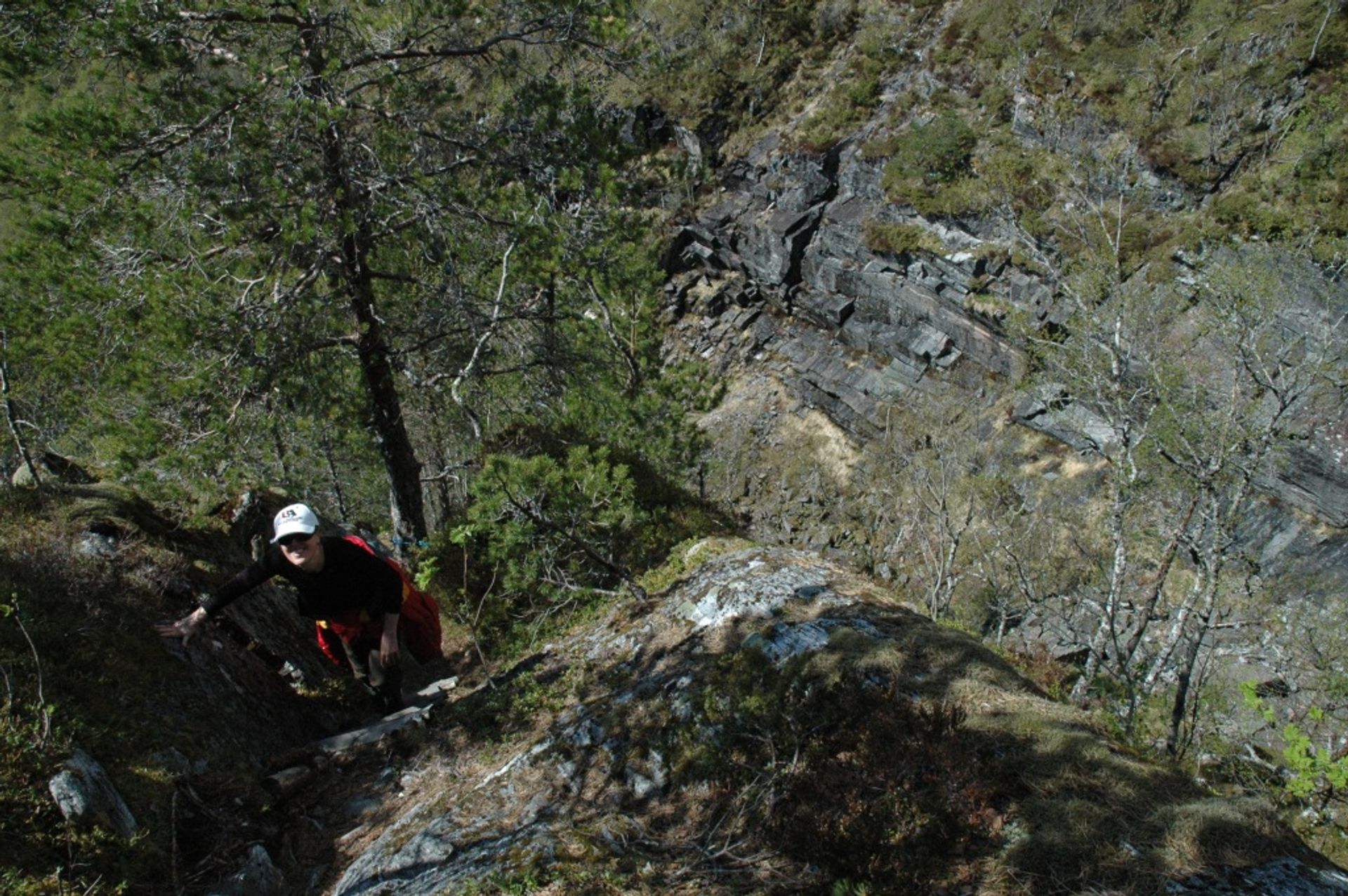 Land im Aure, Møre og Romsdal 12305748