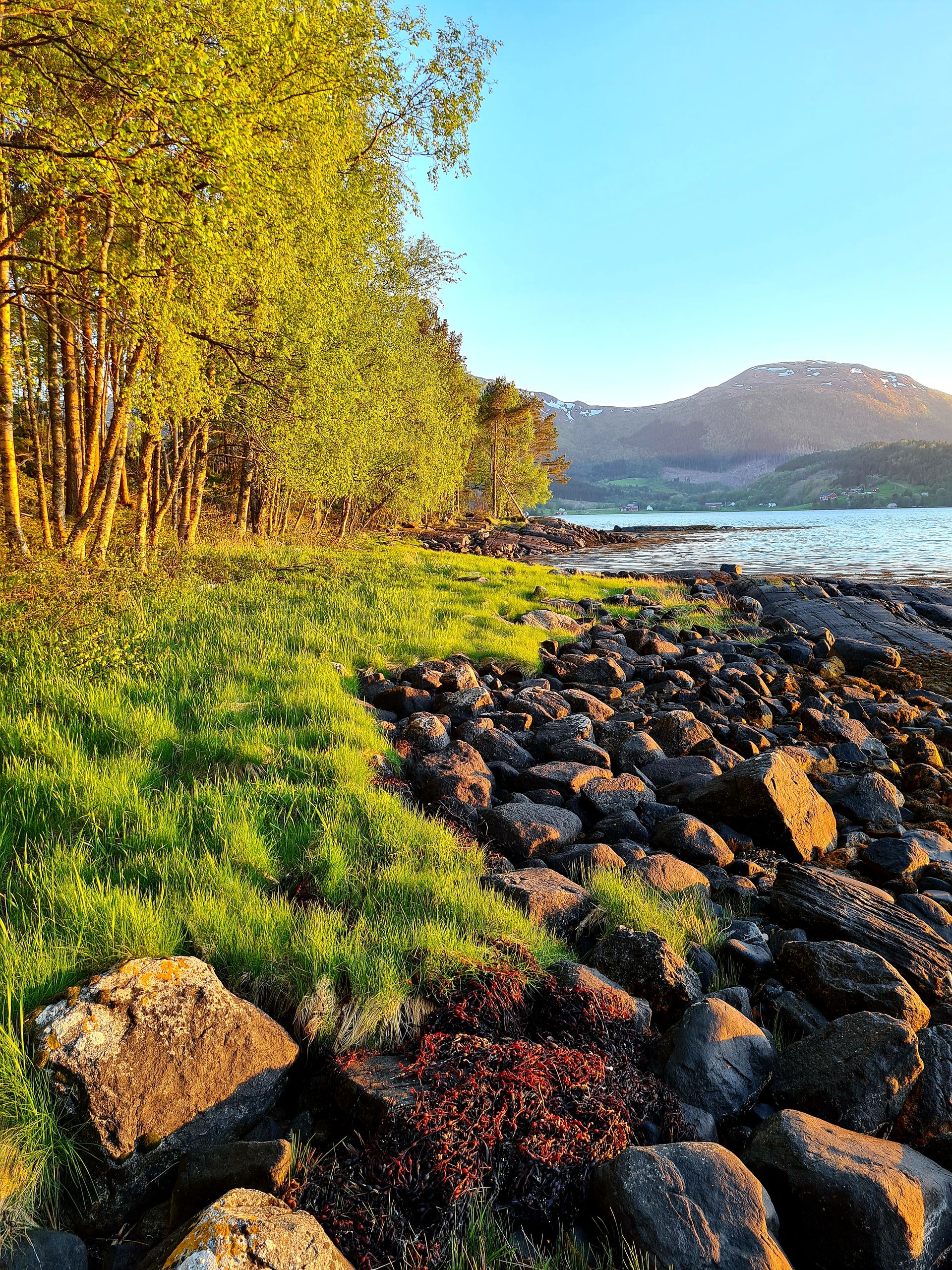 Land im Aure, Møre og Romsdal 12305748