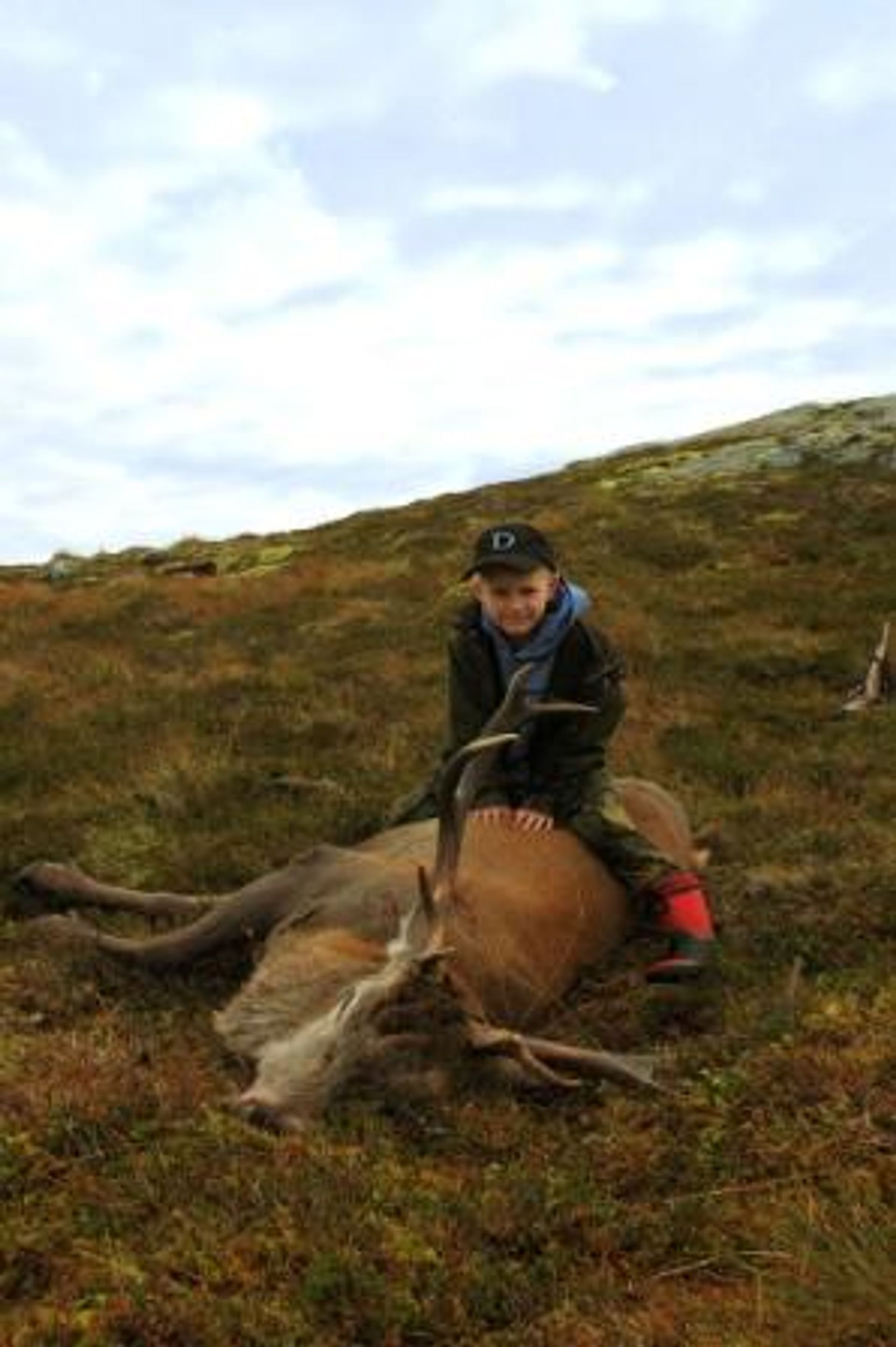 Land im Aure, Møre og Romsdal 12305748