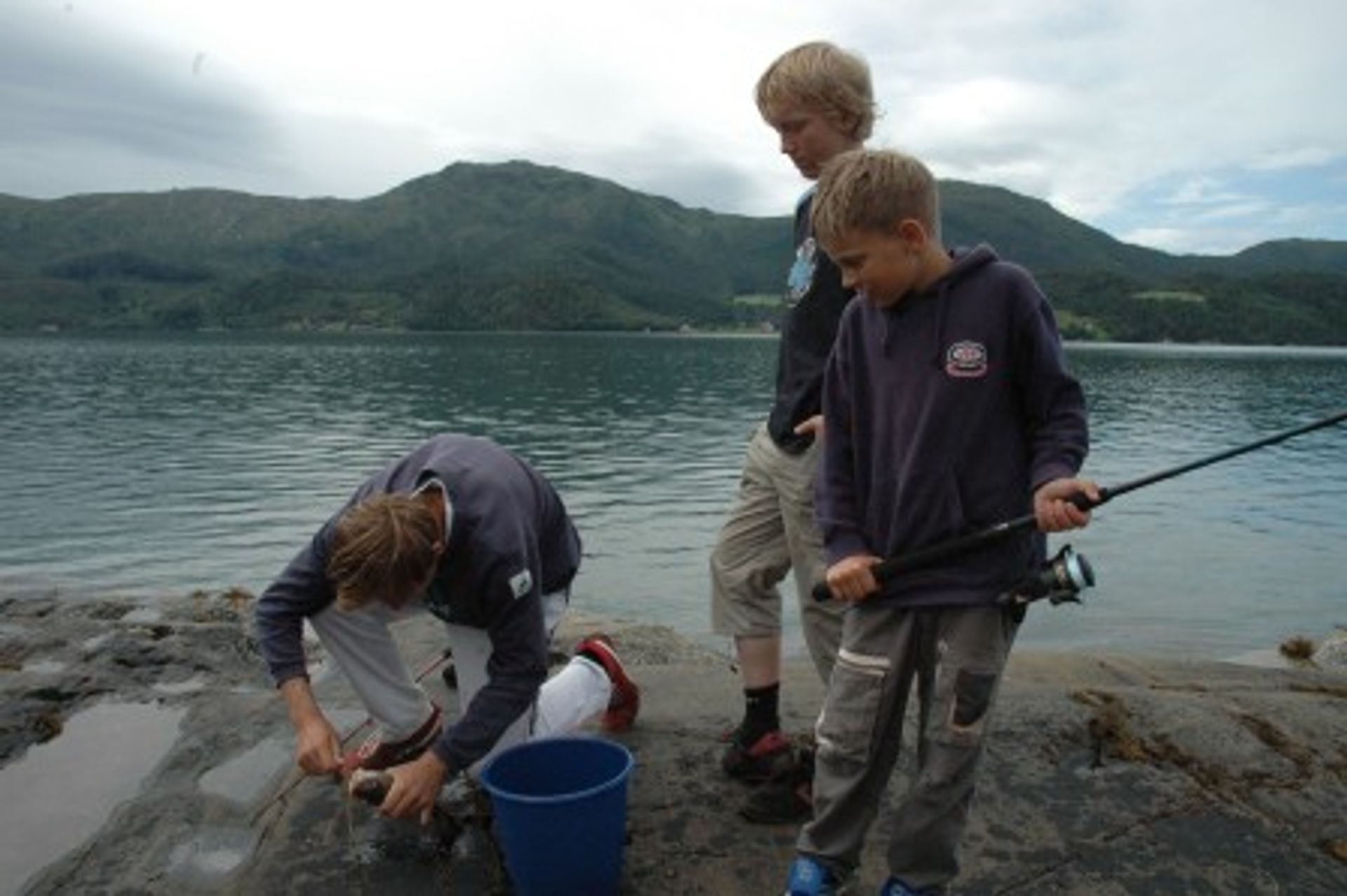 Land im Aure, Møre og Romsdal 12305748