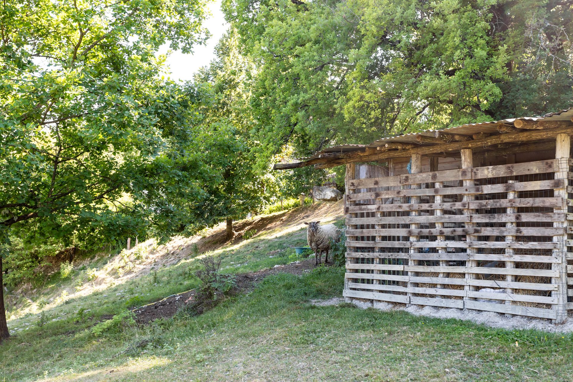 房子 在 Saint-Amans-de-Pellagal, Occitanie 12305779