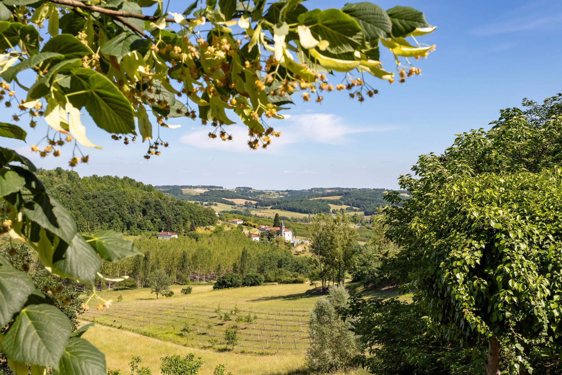 房子 在 Saint-Amans-de-Pellagal, Occitanie 12305779