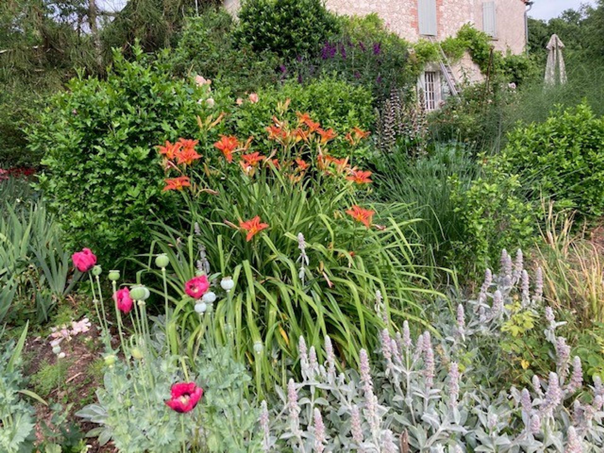 بيت في Lauzerte, Occitanie 12305786