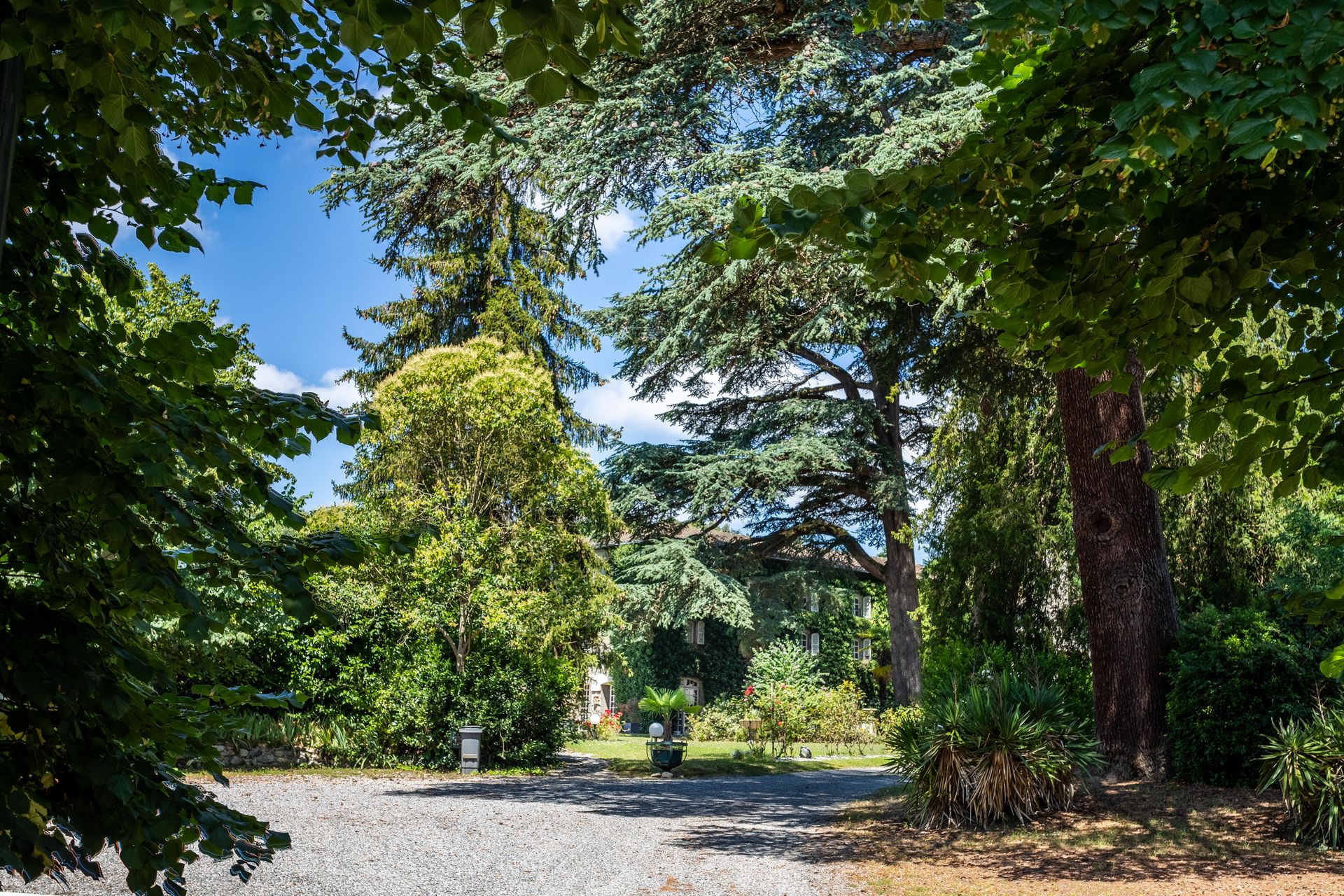 सम्मिलित में Saint-Gaudens, Occitanie 12305817