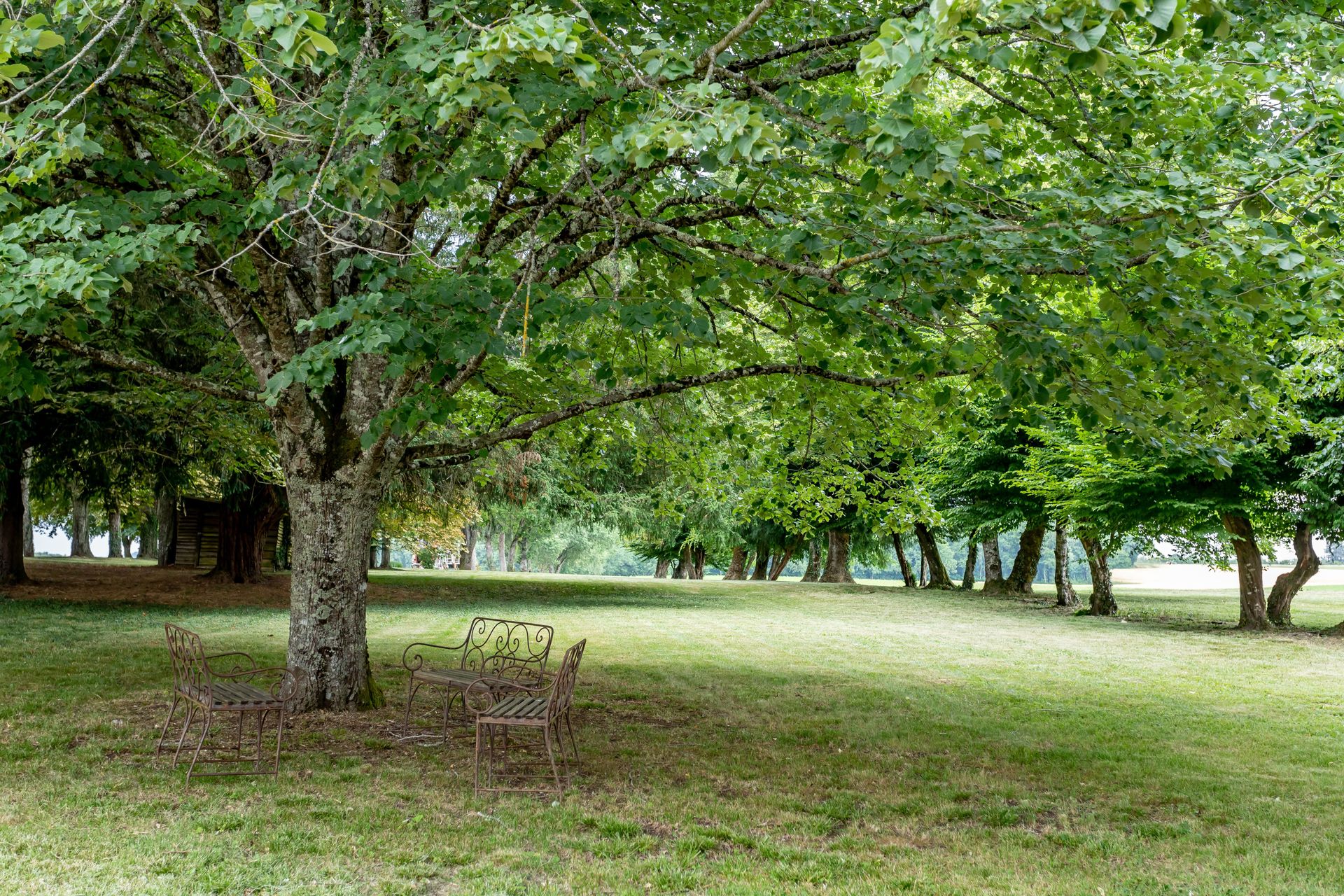 Rumah di Beauville, Nouvelle-Aquitaine 12305824