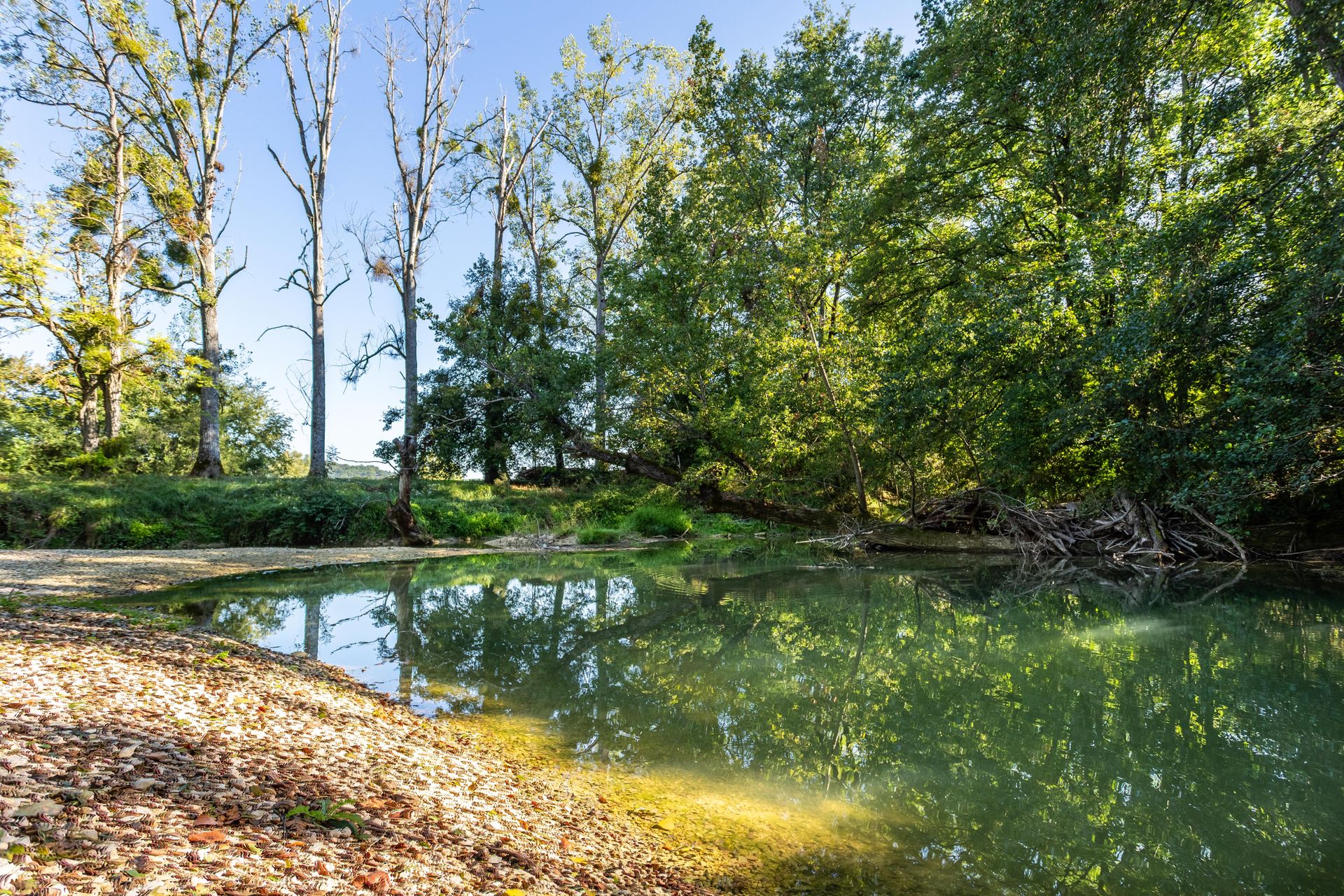 房子 在 Montbarla, Occitanie 12305841