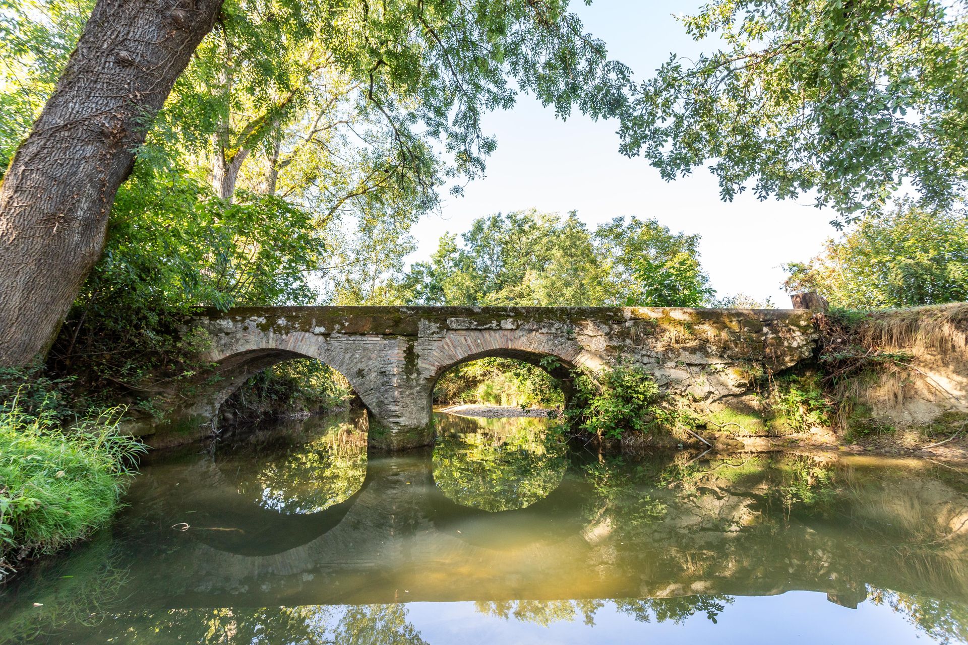 房子 在 Saint-Amans-de-Pellagal, Occitanie 12305841