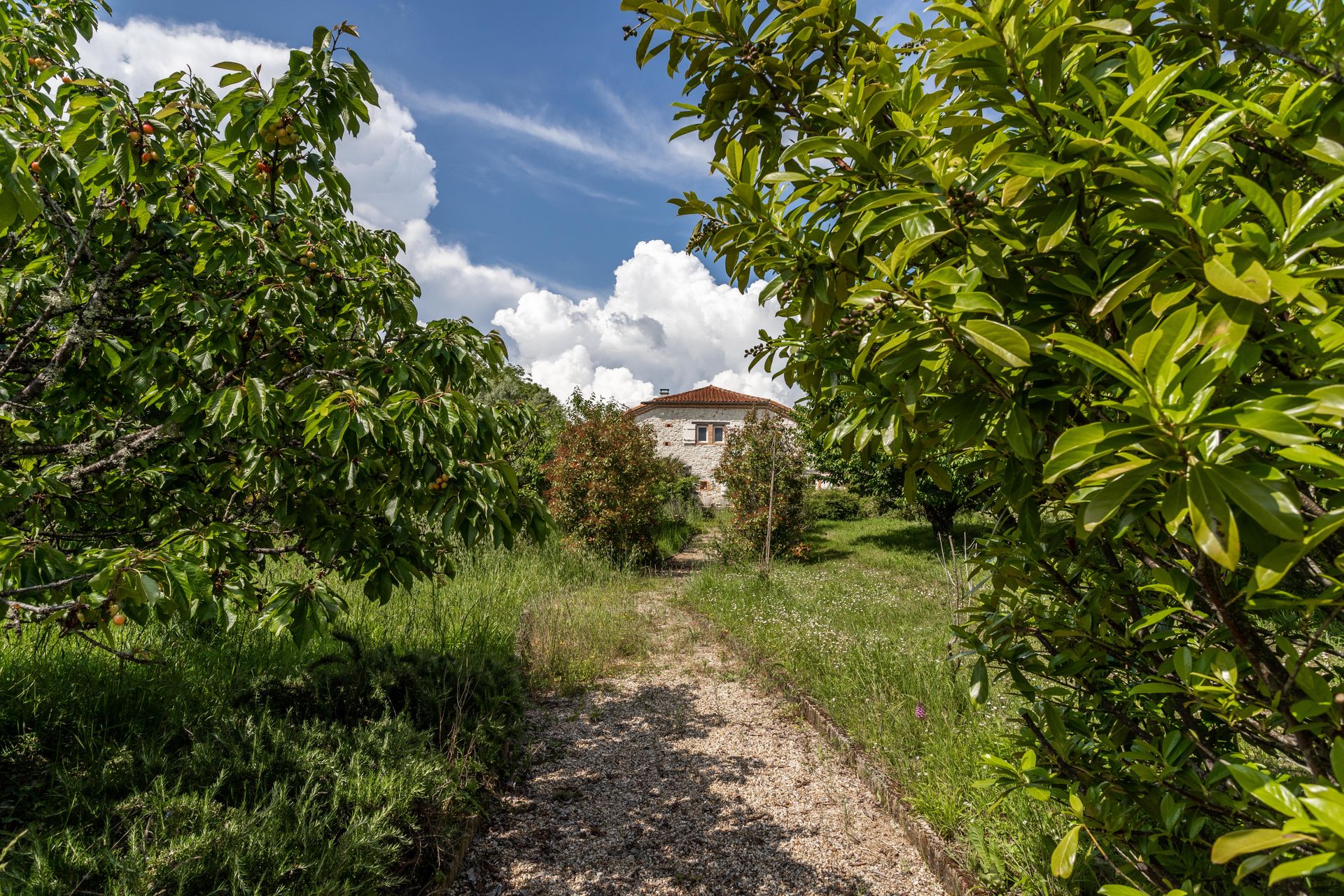 casa en Lauzerte, Occitania 12305847