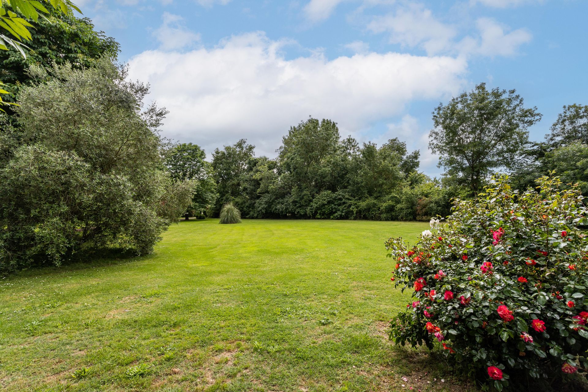 Rumah di Tayrac, Nouvelle-Aquitaine 12305850