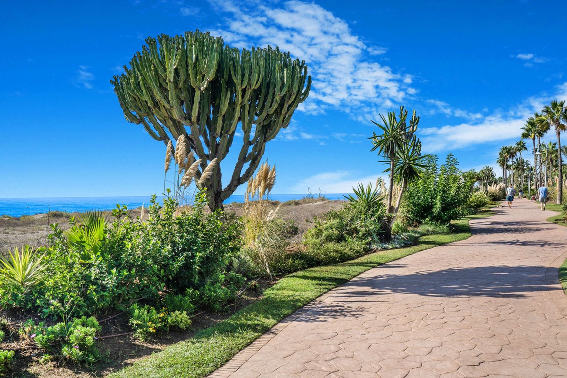 公寓 在 Estepona, Andalucía 12307014