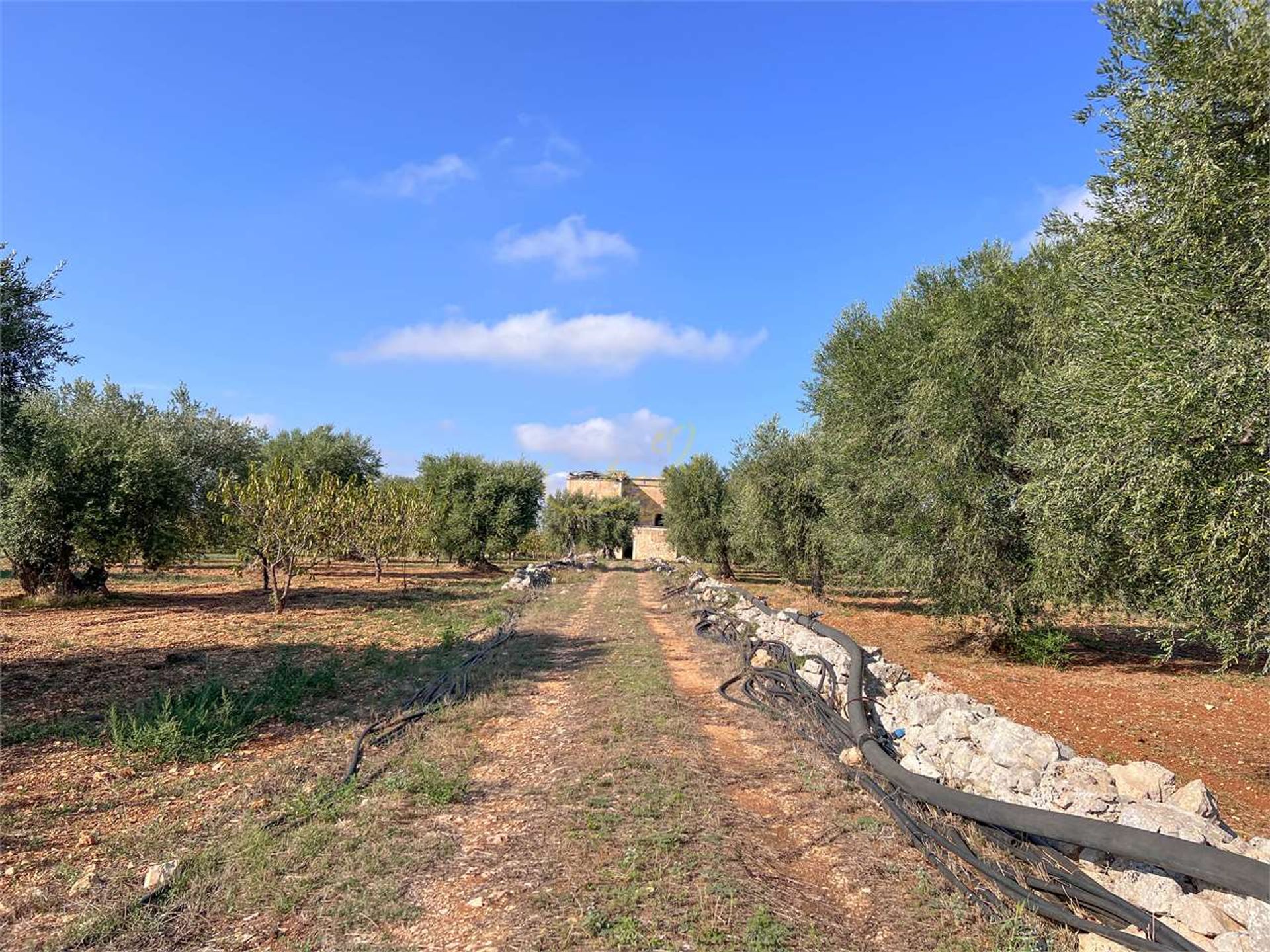 Tierra en Conversano, Apulia 12307454