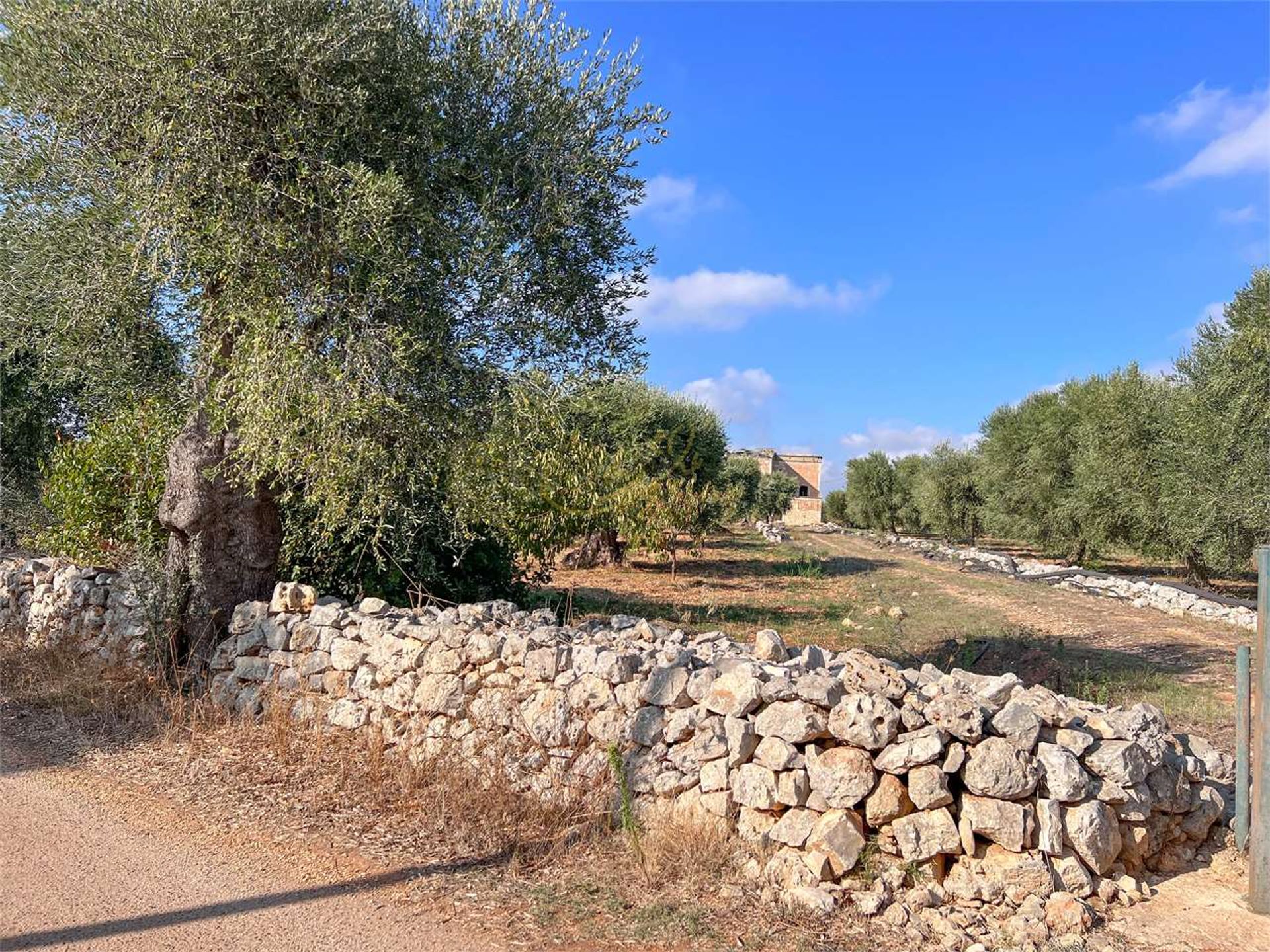 Tierra en Conversano, Apulia 12307454