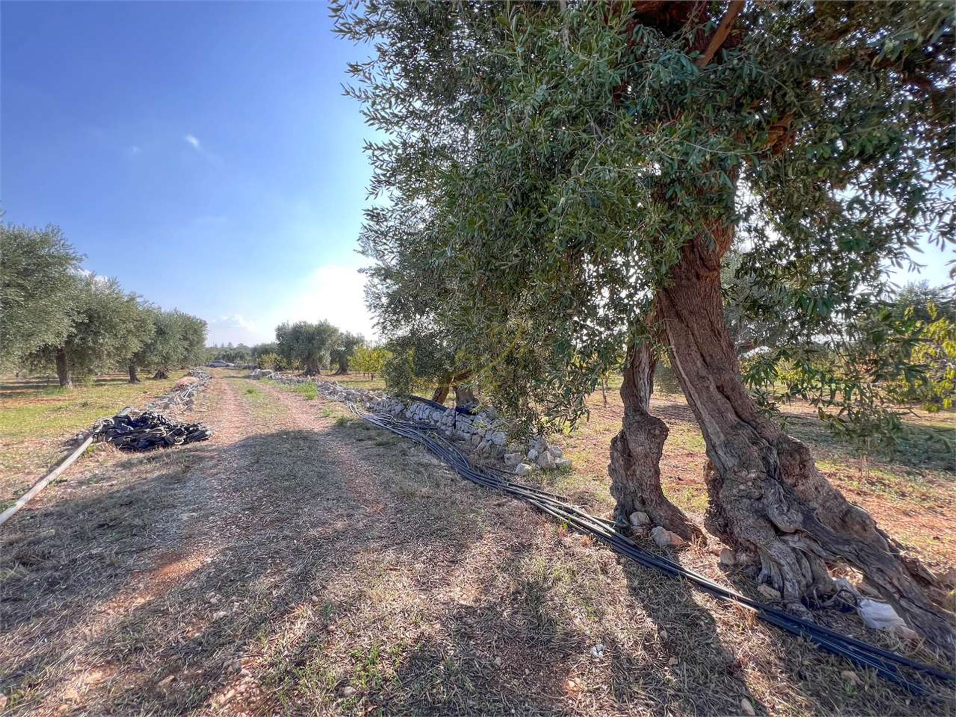 Tierra en Conversano, Apulia 12307454