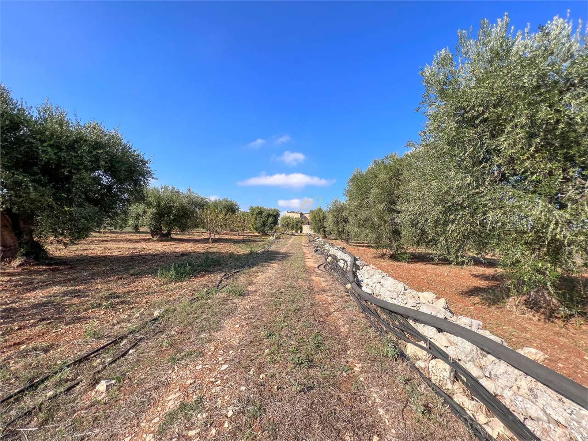 Tierra en Conversano, Apulia 12307454