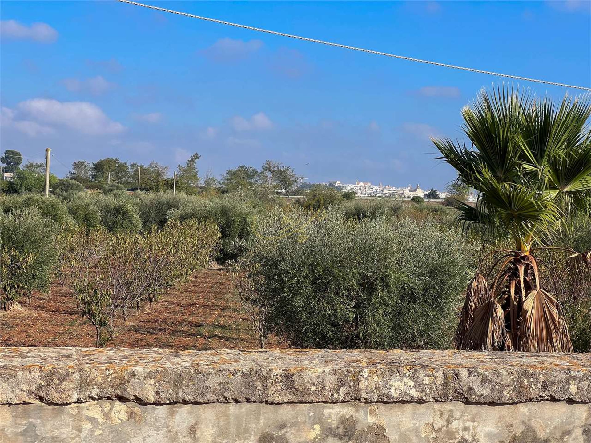 Tierra en Conversano, Apulia 12307454