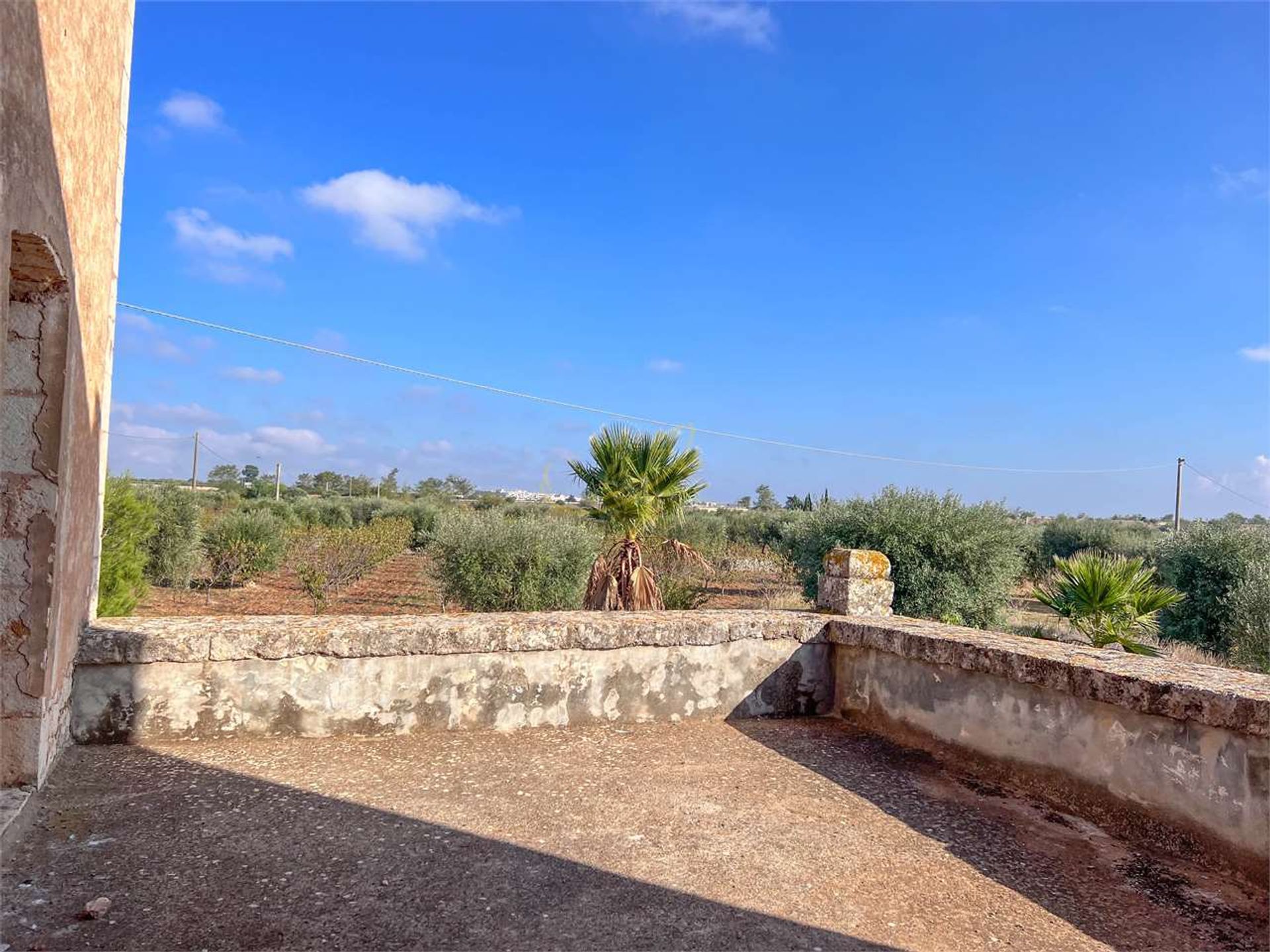 Land in Conversano, Puglia 12307454