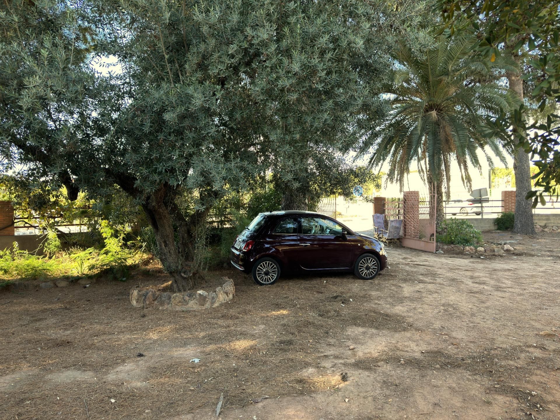 House in Náquera, Valencian Community 12307570