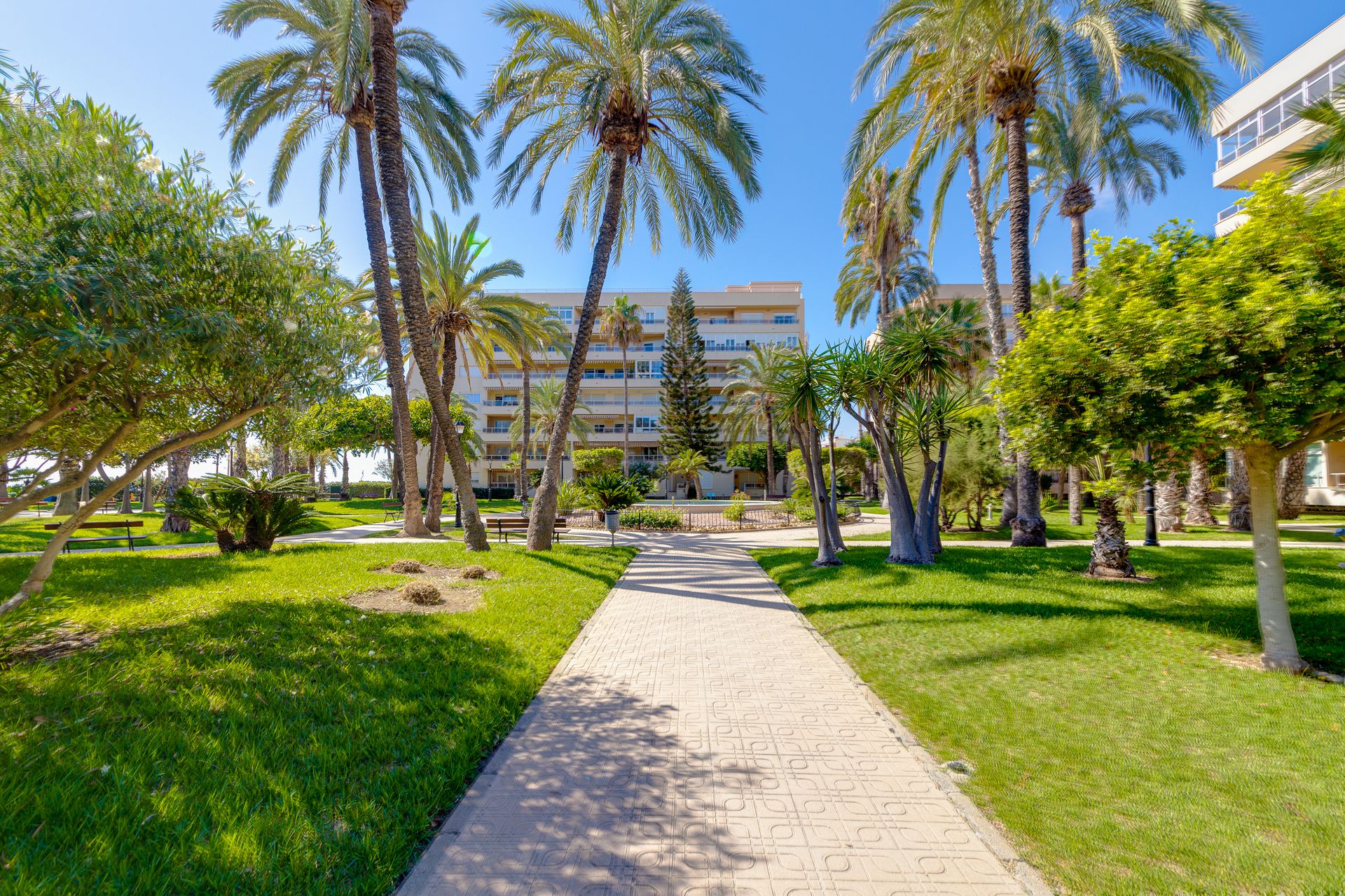 Condominio nel Torrevieja, Valencian Community 12307857