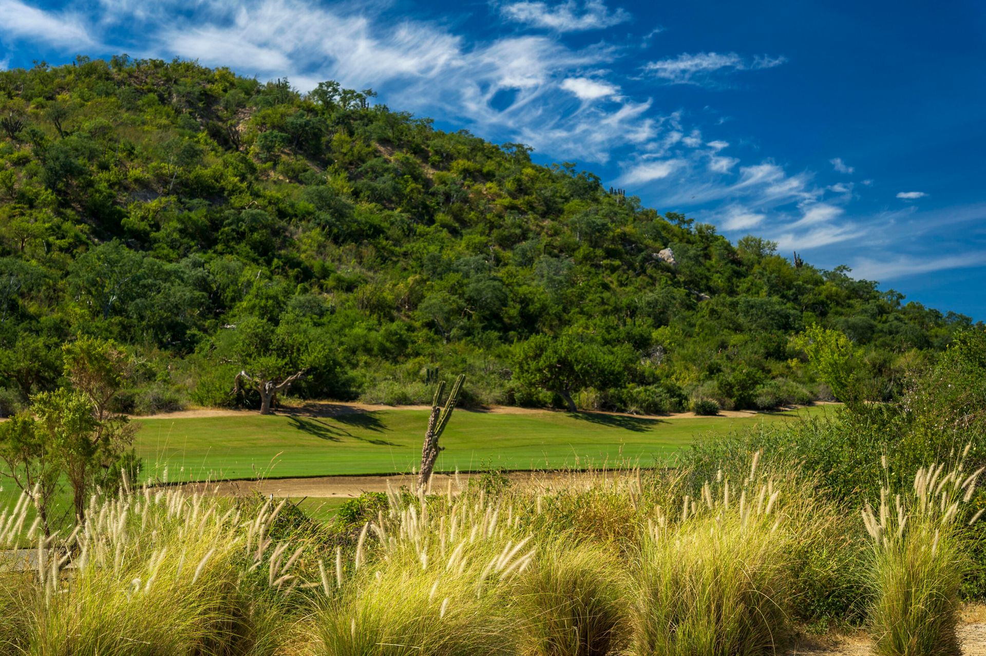 Land in San Jose Iturbide, Guanajuato 12308304