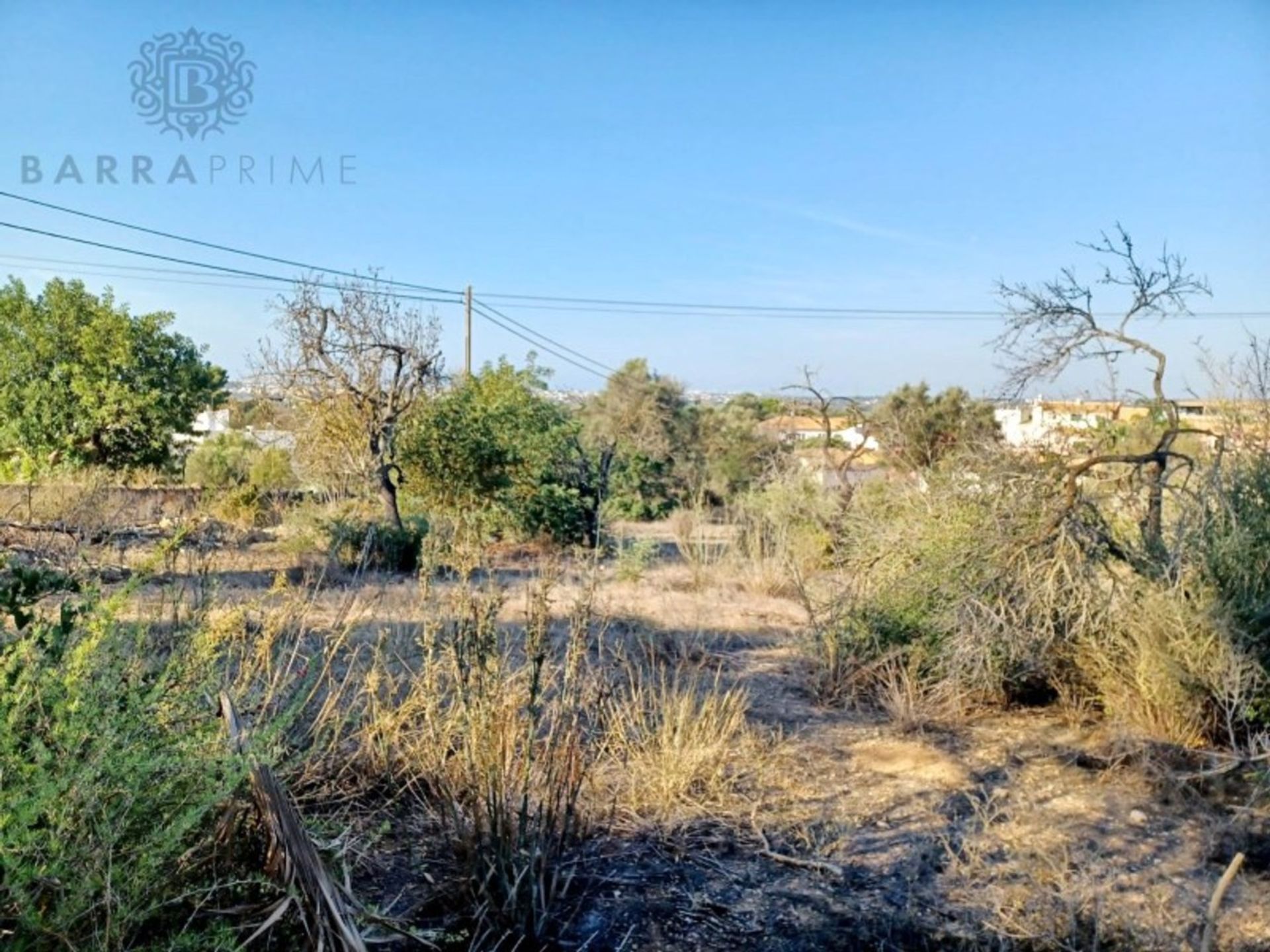 Terra no Boliqueime, Faro 12308534