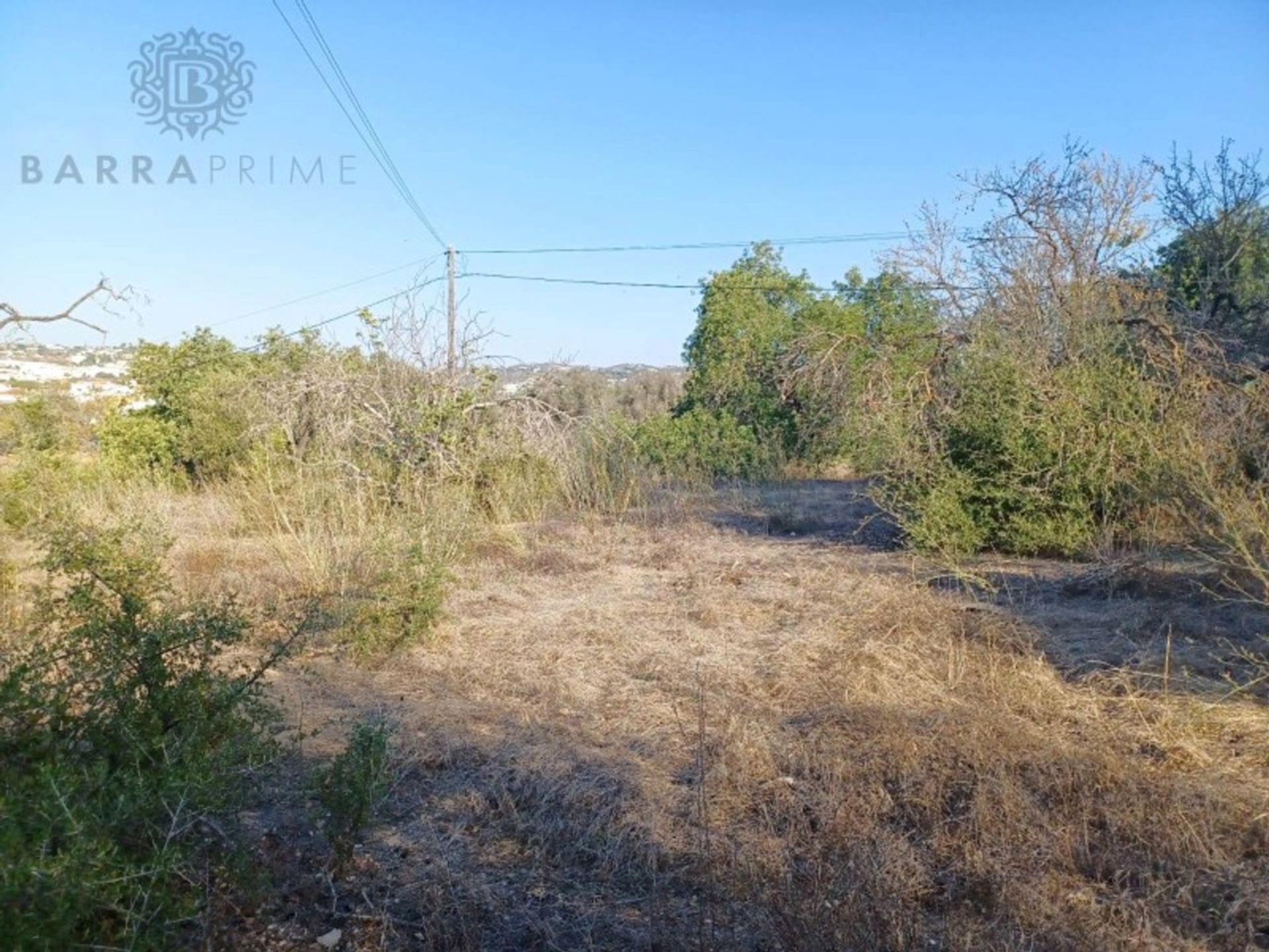 Land in Boliqueime, Faro 12308534