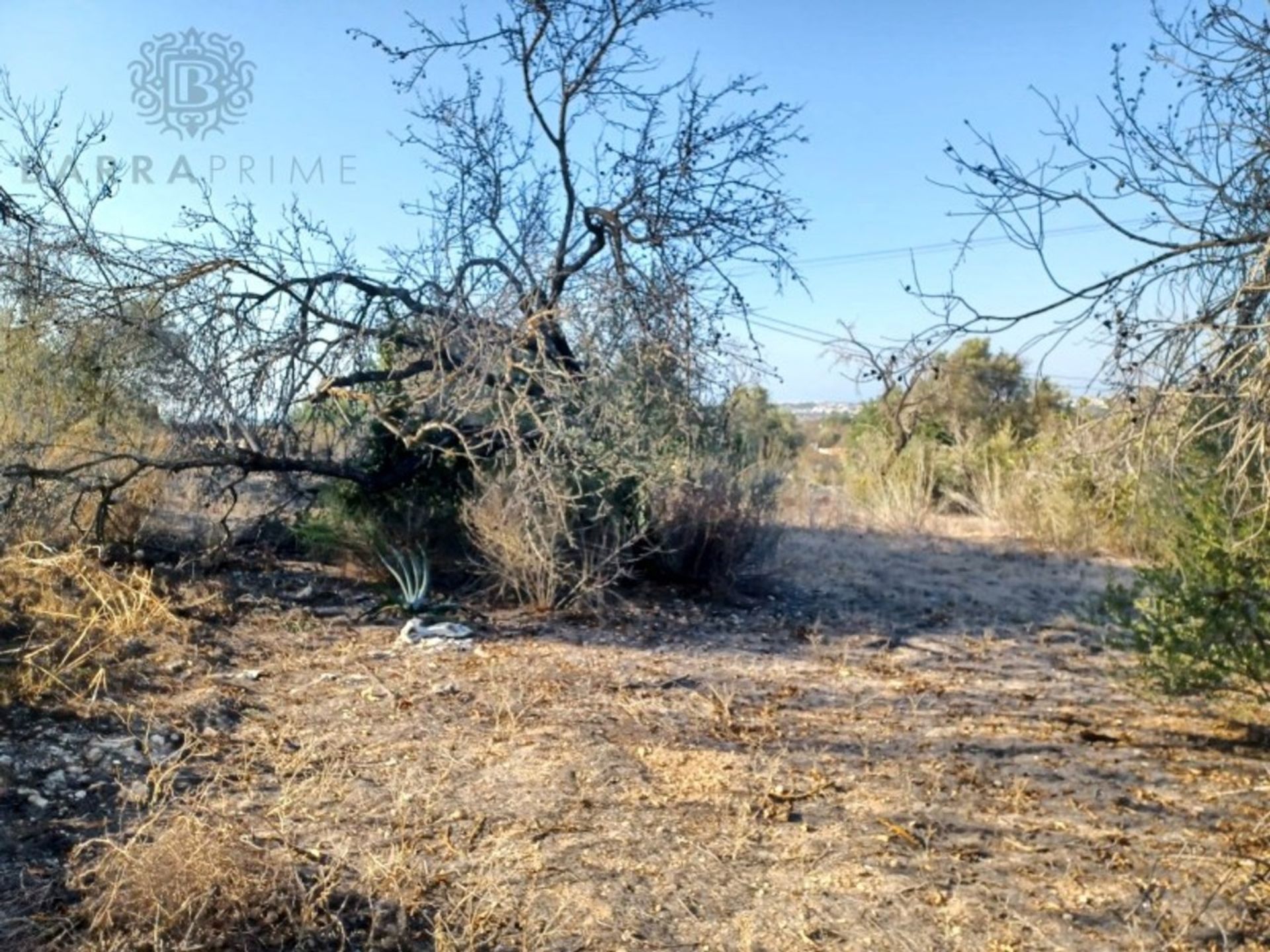 Tierra en Boliqueime, Faro 12308534