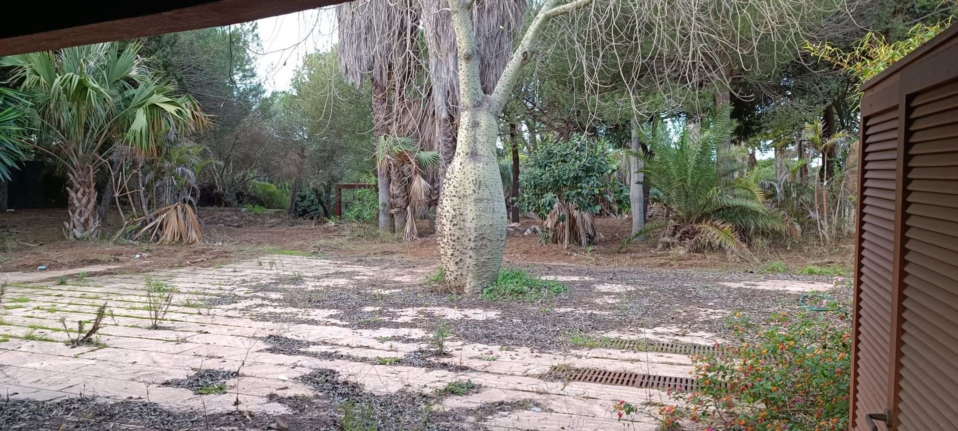 Tanah di Artola, Andalucía 12310711