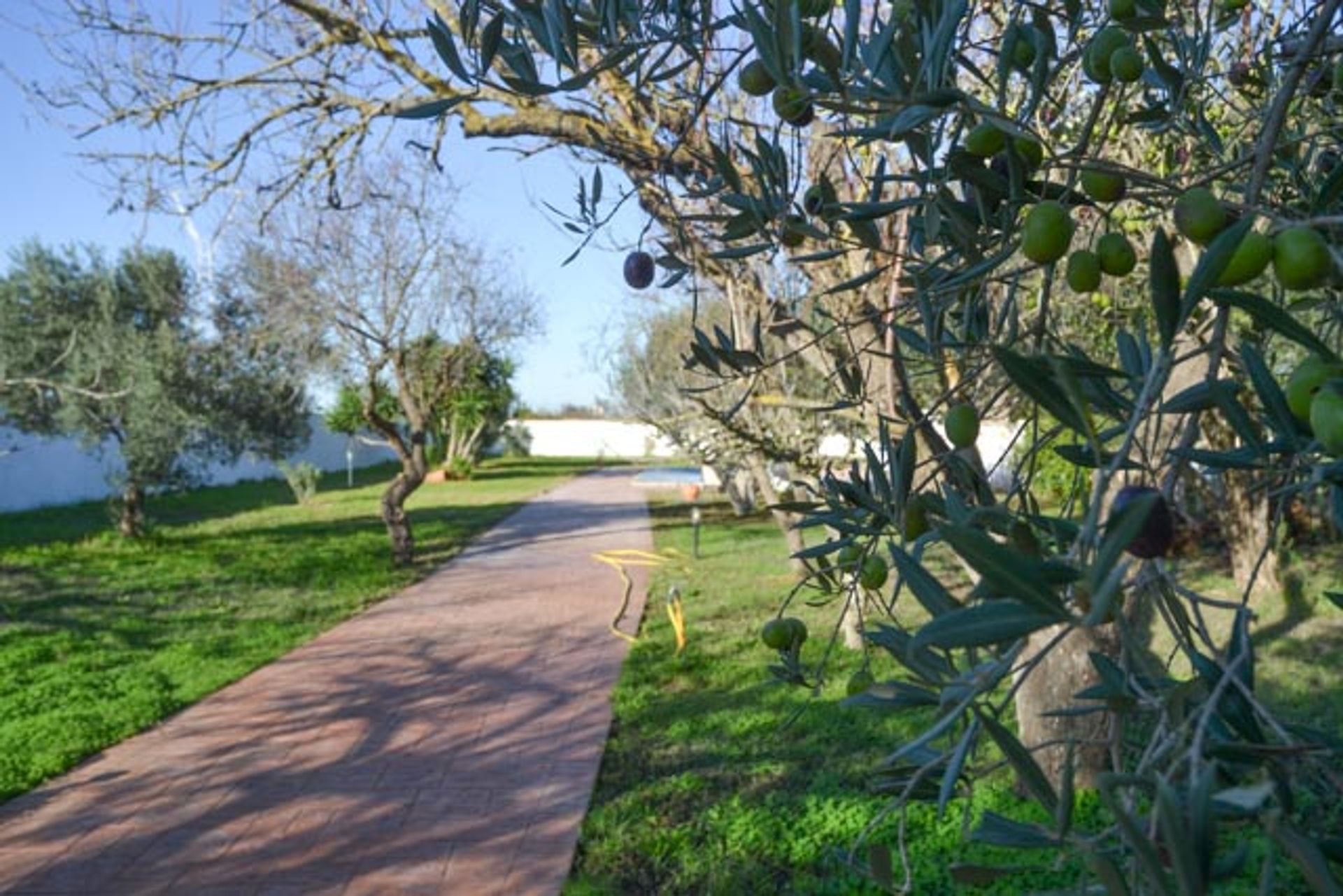 House in Chiclana de la Frontera, Andalucía 12311094