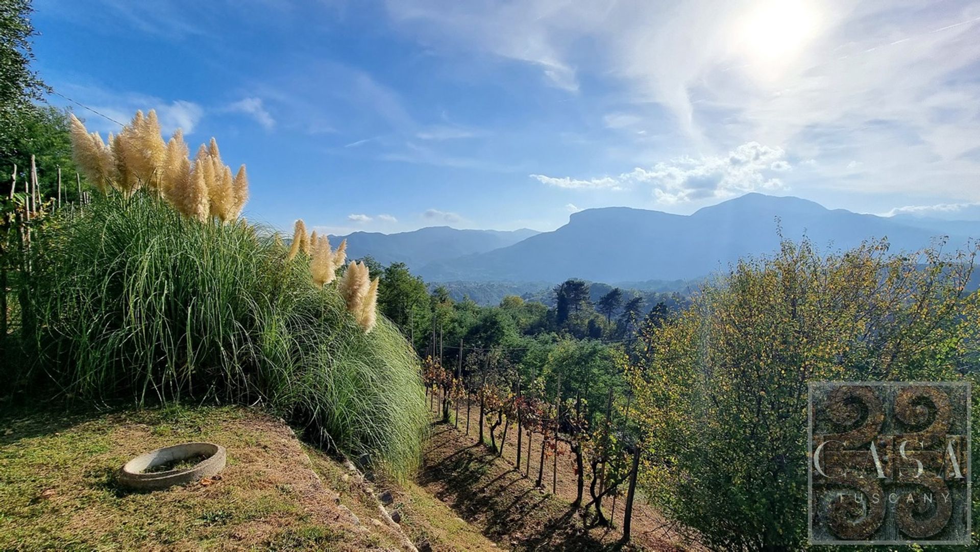 Haus im Barga, Tuscany 12311615