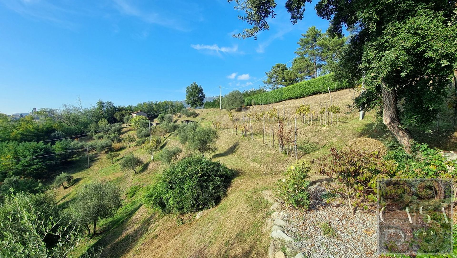 Haus im Barga, Tuscany 12311615