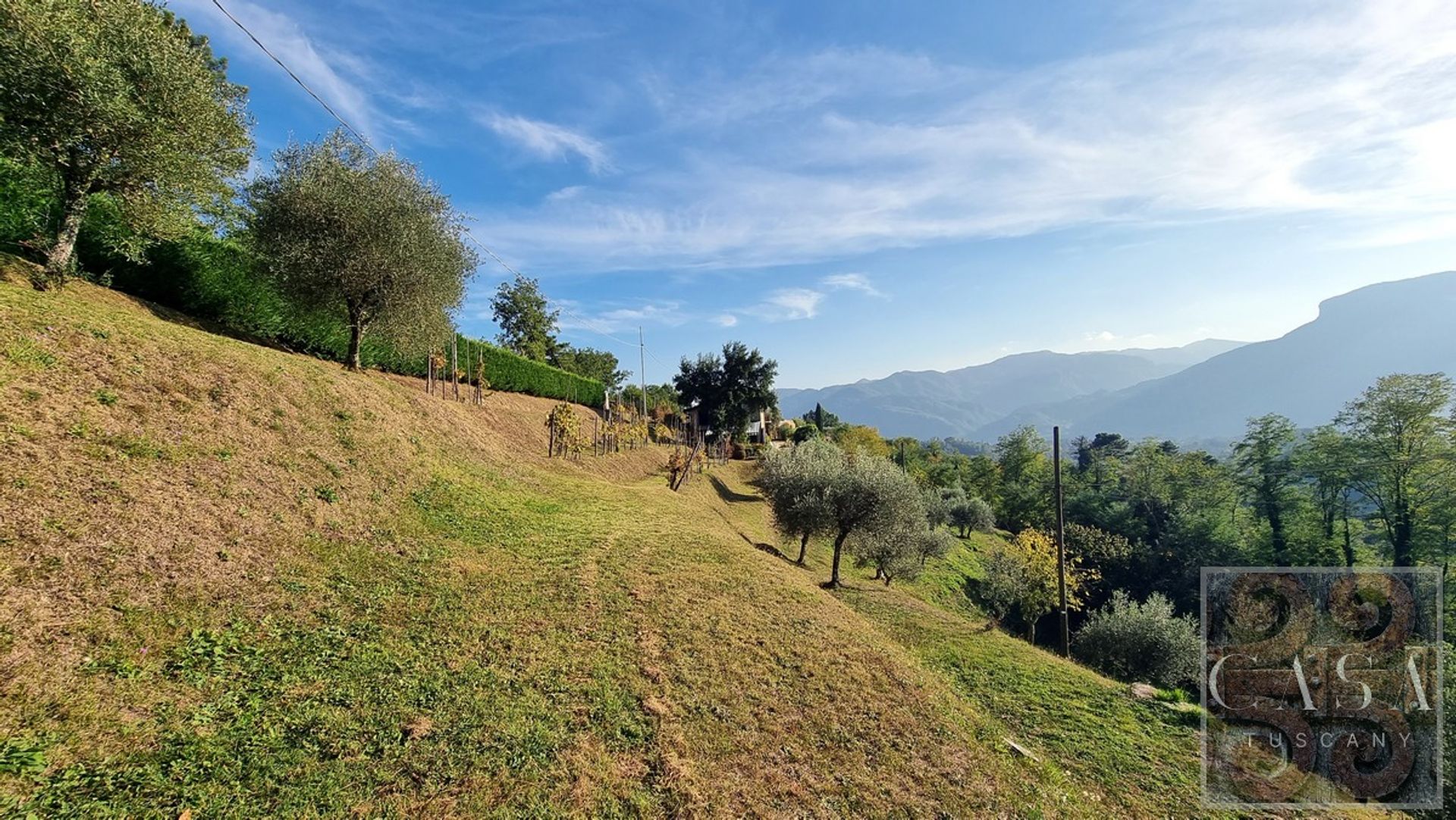 Haus im Barga, Tuscany 12311615