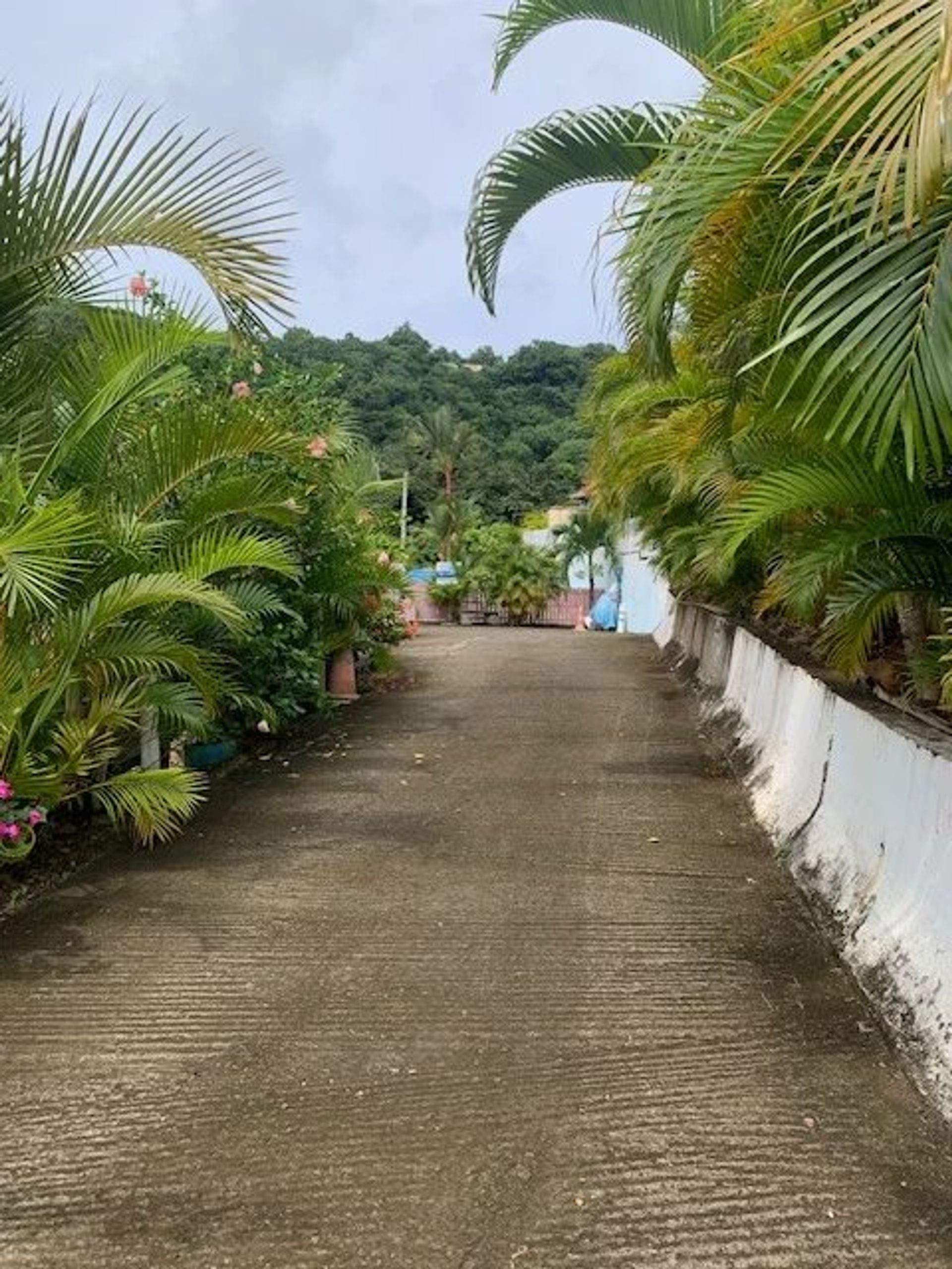 rumah dalam Le François, Martinique 12311644