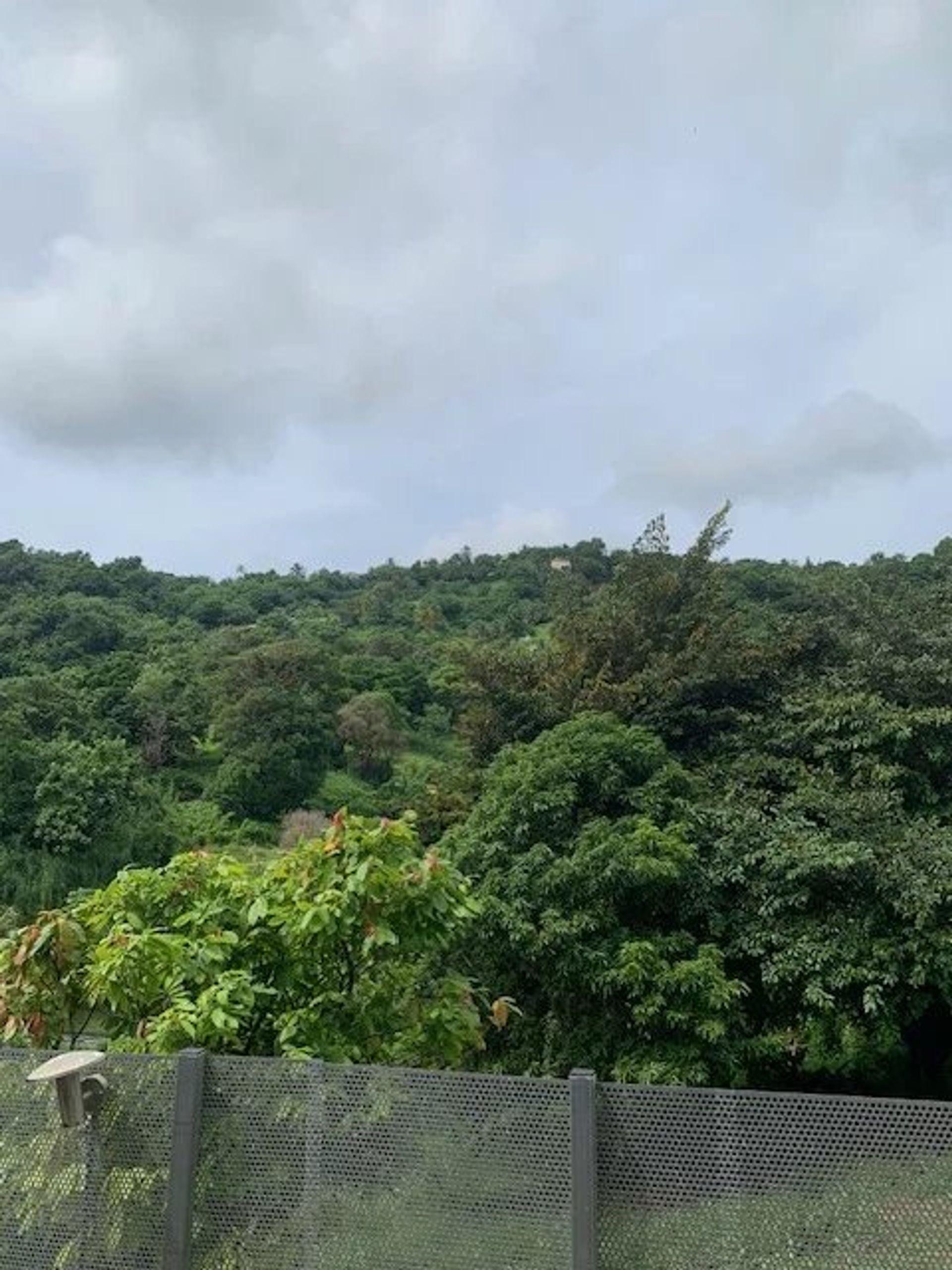 casa en Le François, Martinique 12311644