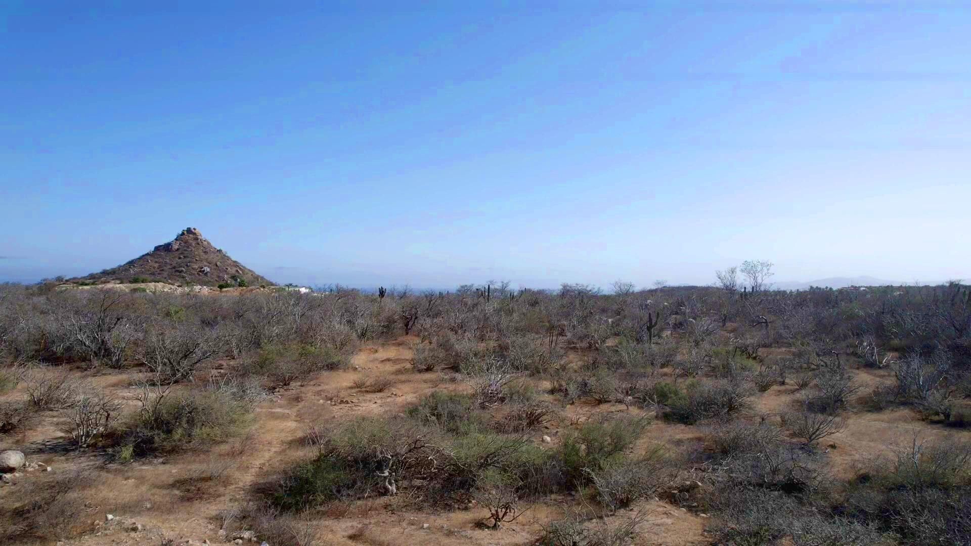 Tanah di San José del Cabo, Baja California Sur 12311861