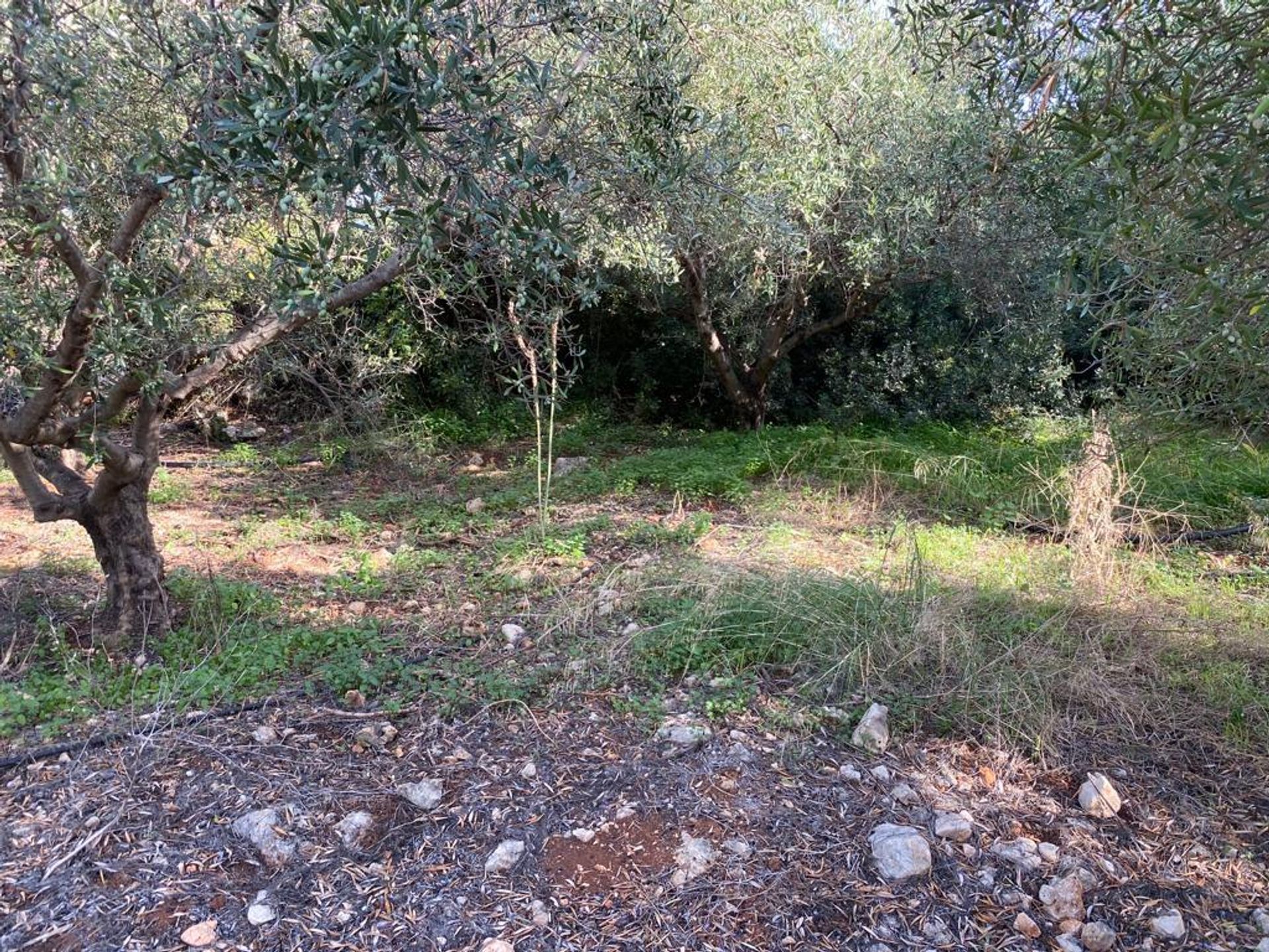 Land in Plaka,  12311985