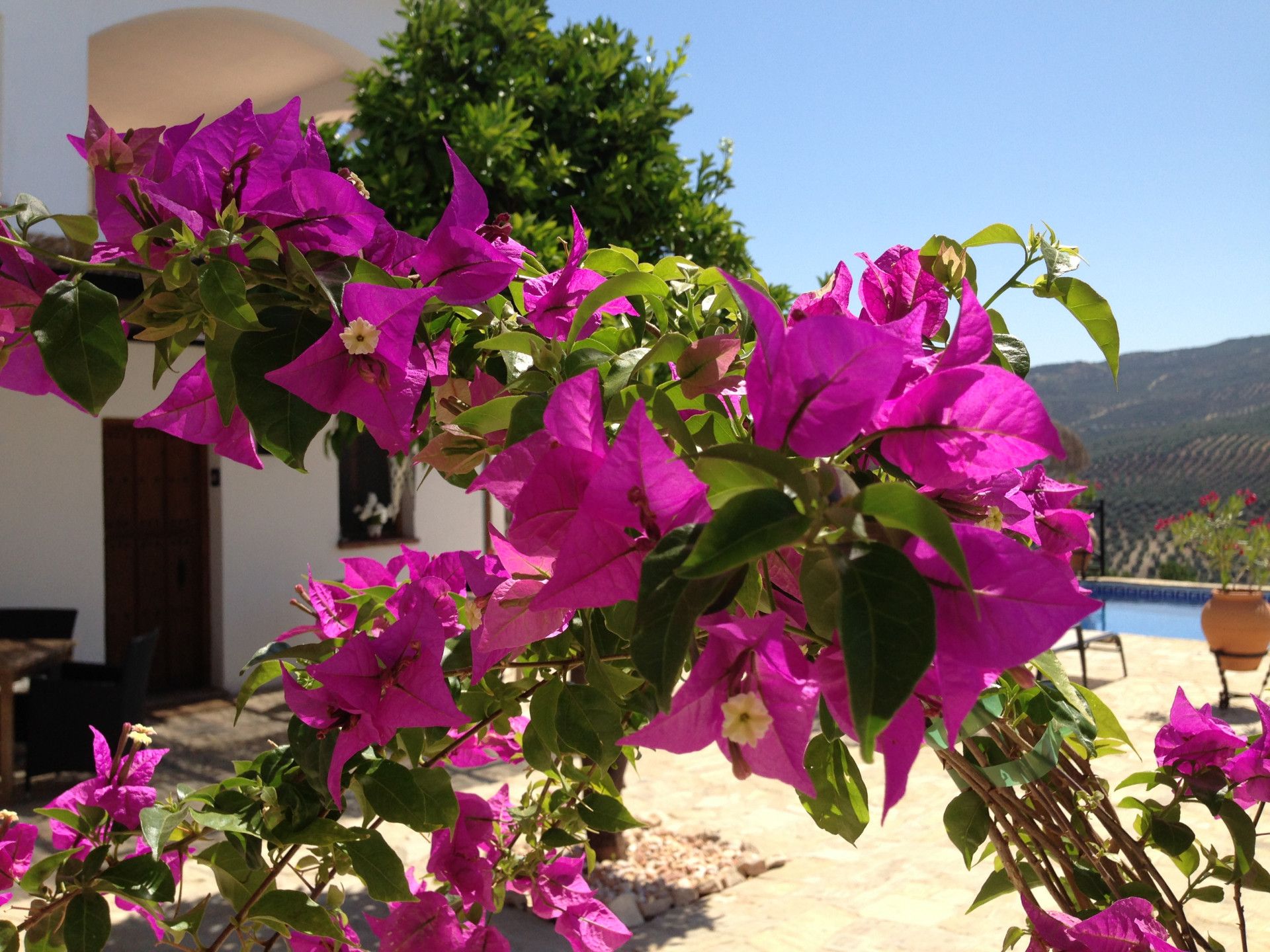 casa en Iznajar, Andalusia 12311986